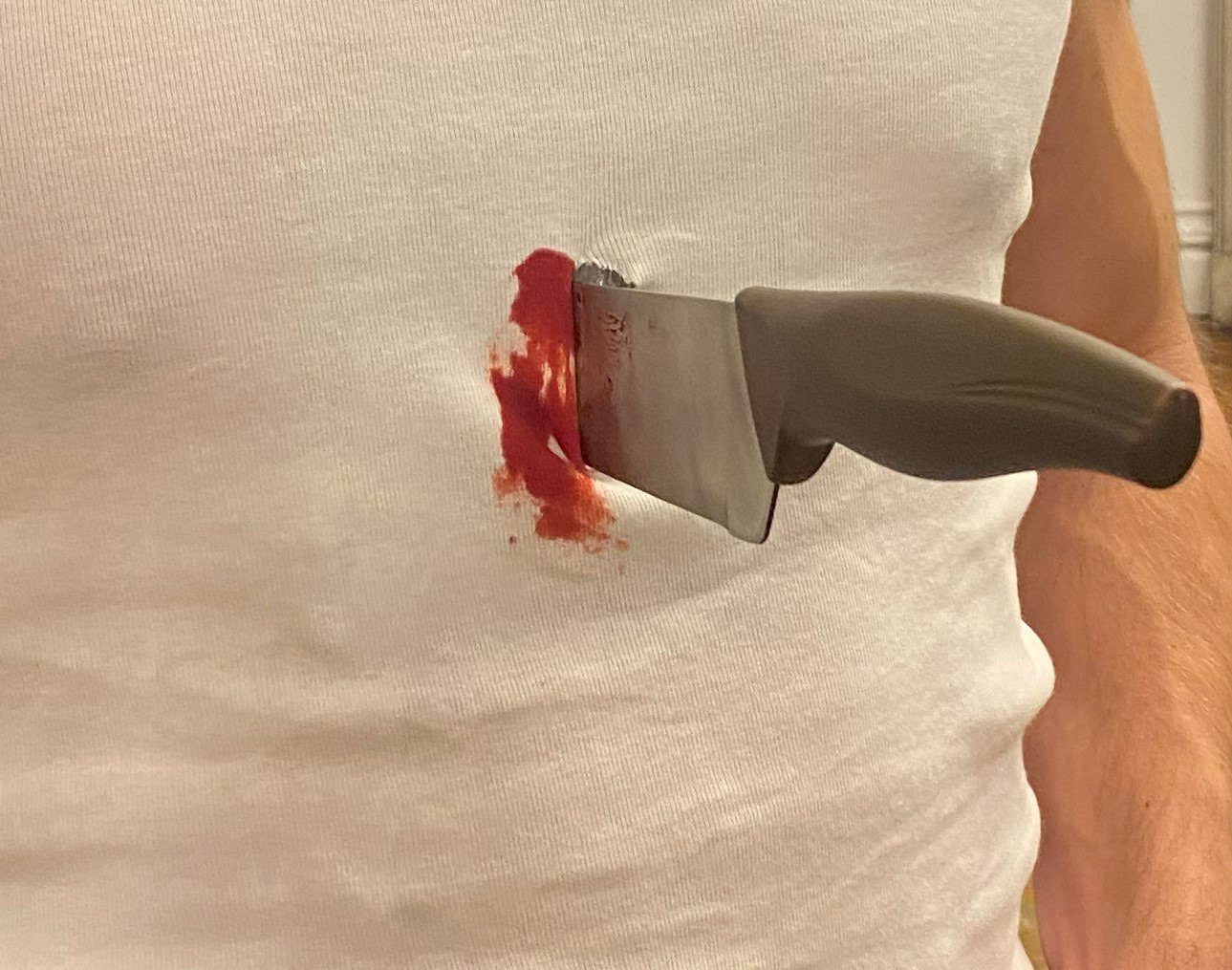BODY PLATE COMPLETELY HIDDEN (PHOTO PRE BLOOD APPLICATION)