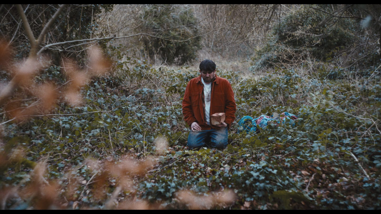 The Green Man - Verve Bee Media Ltd 2024