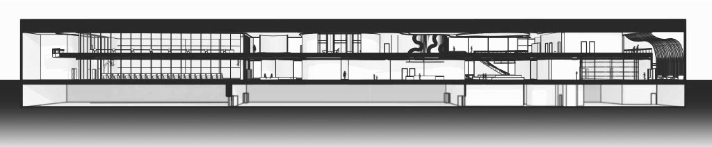 Longitudinal Perspective Section