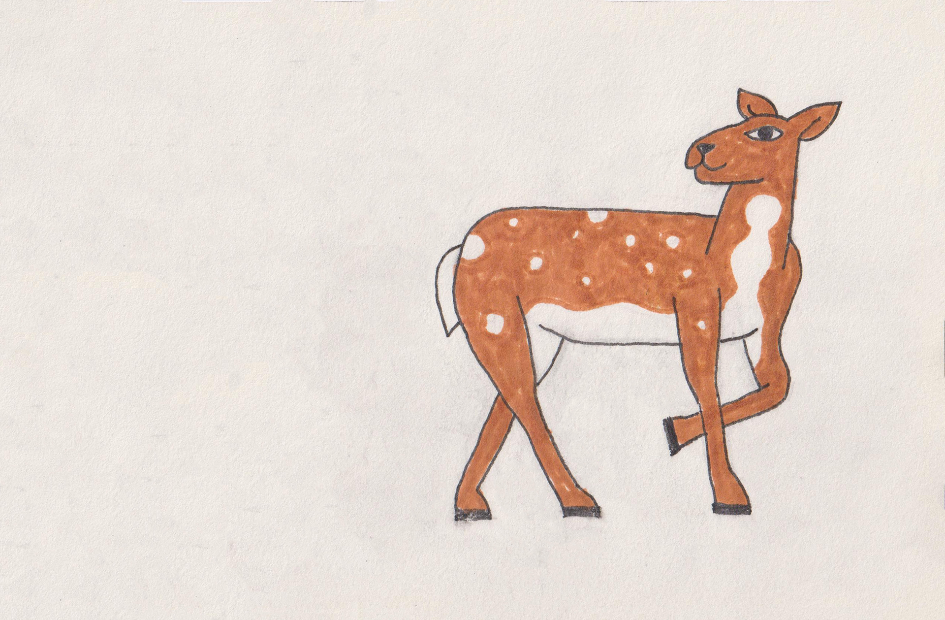 Deer 1