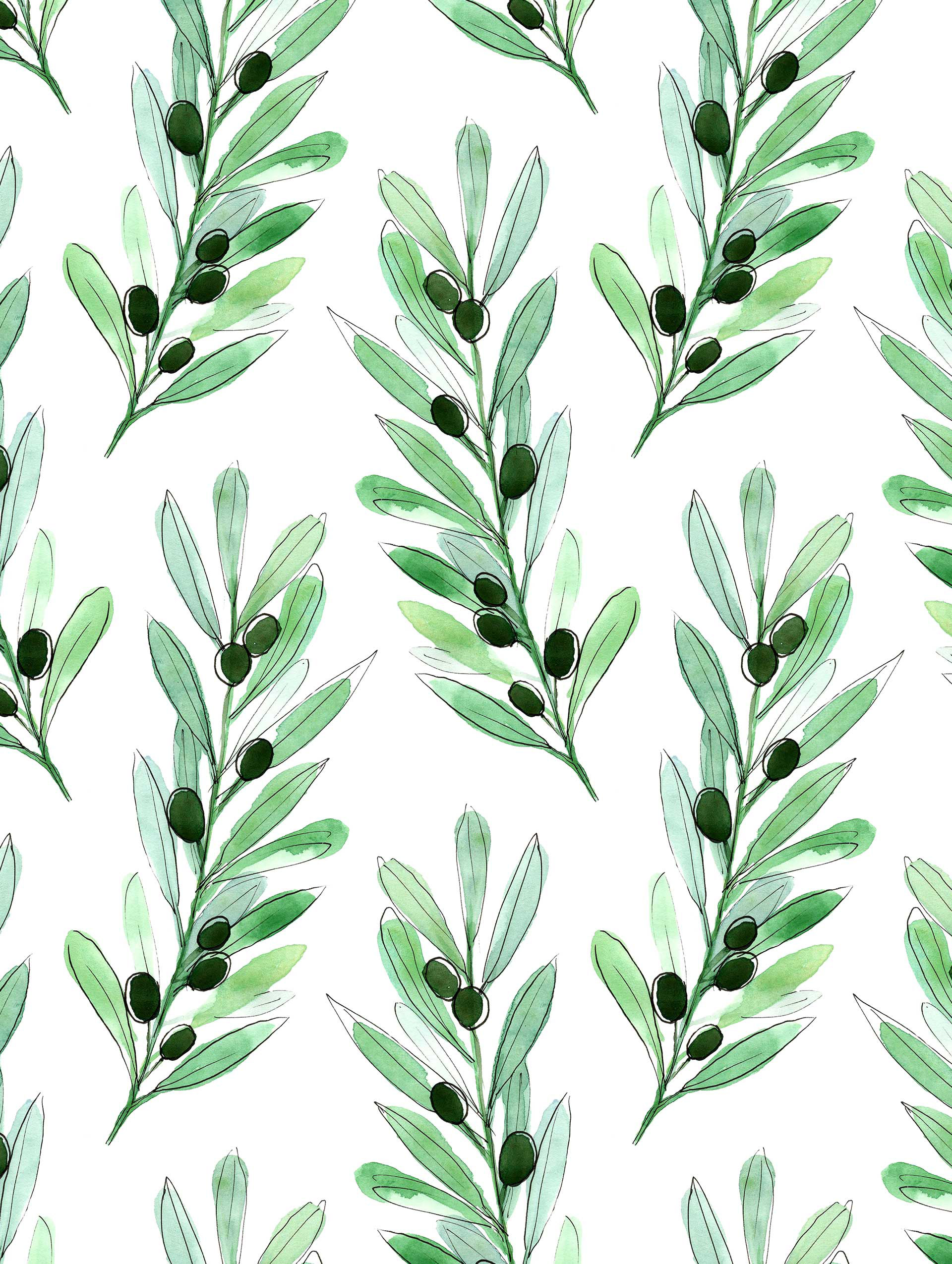 Olive branches