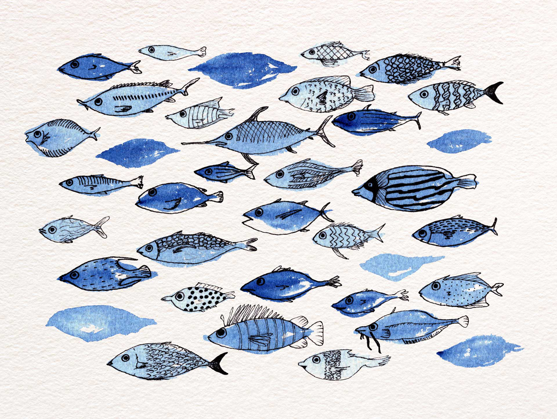 Blue fishes
