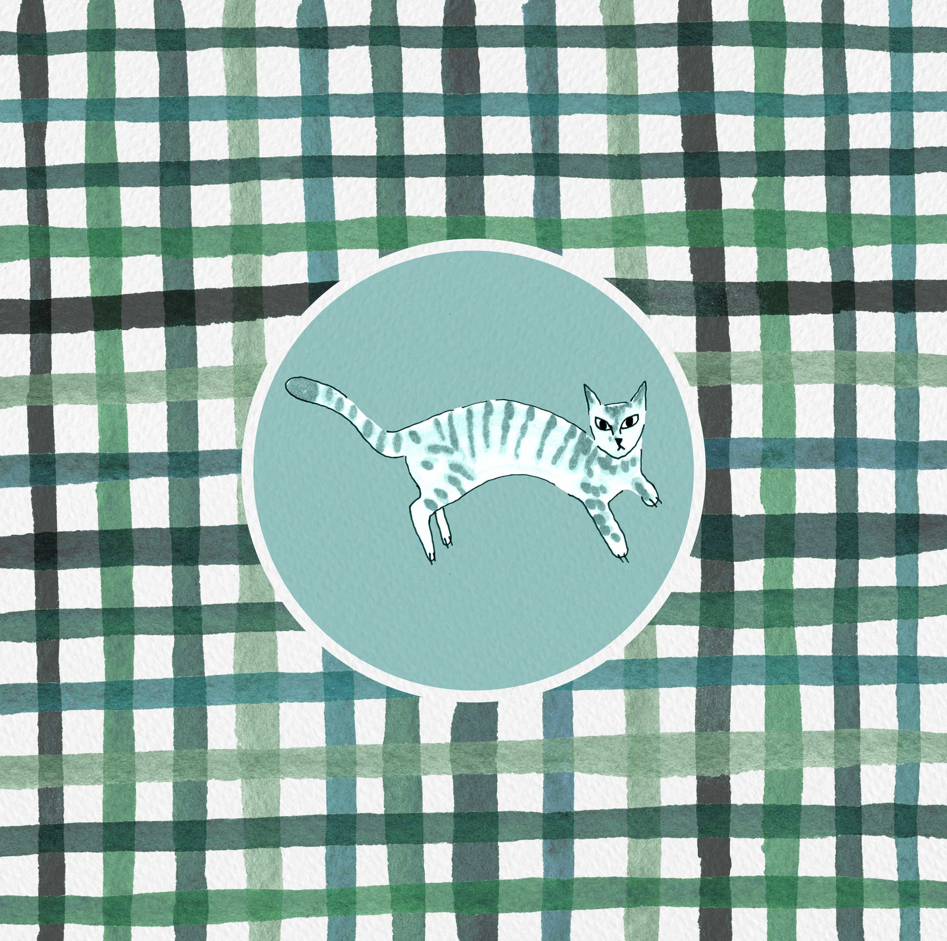 Plaid cat in cian palette