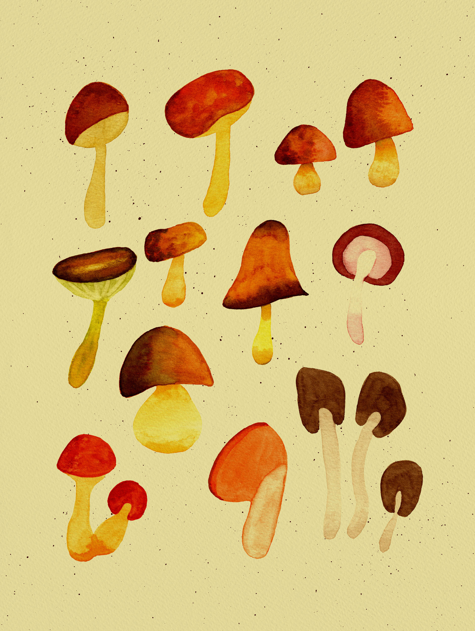 Mushrooms