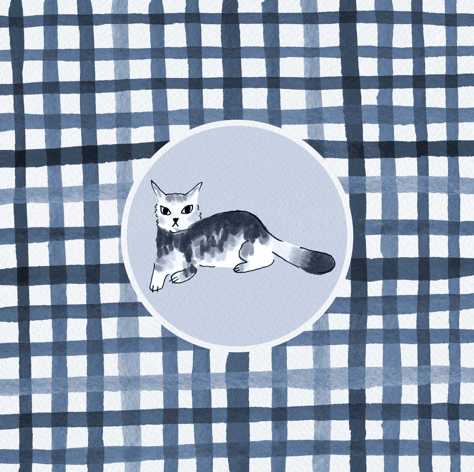 Plaid cat in blue palette