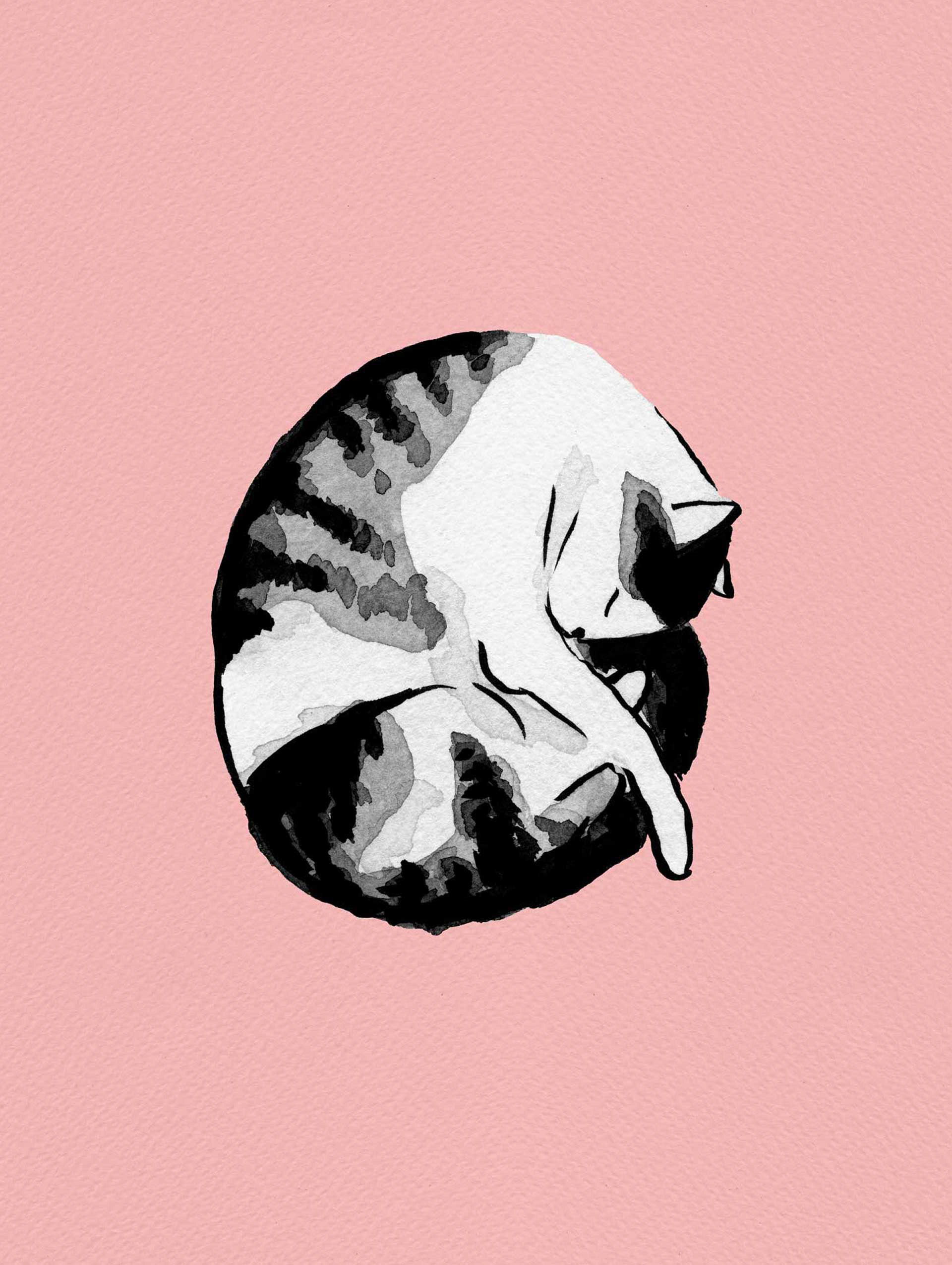 Night, night, sleeping beauty