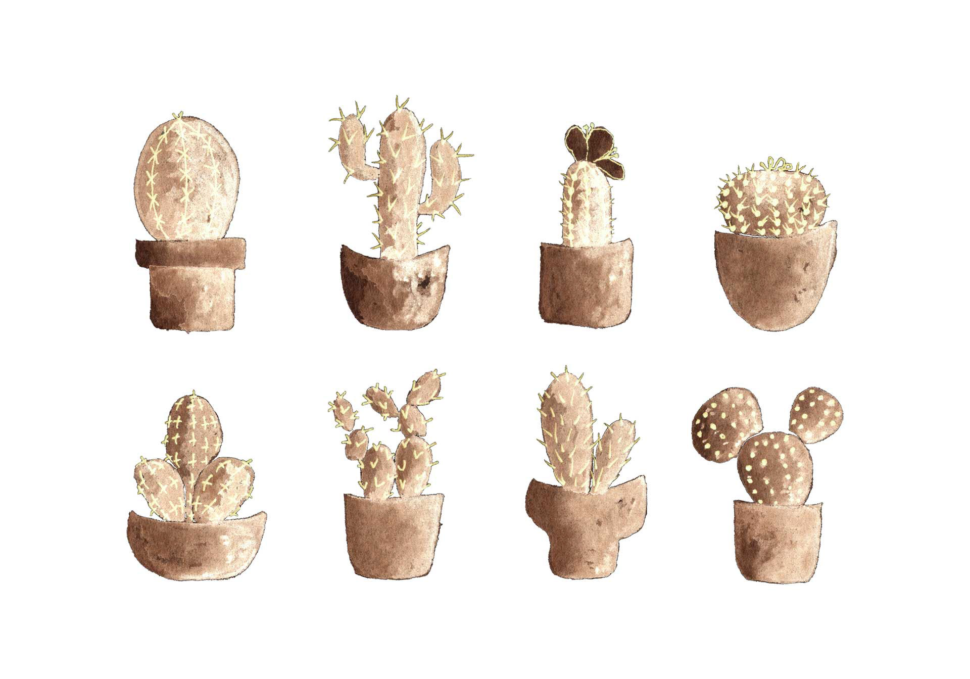 Cactus