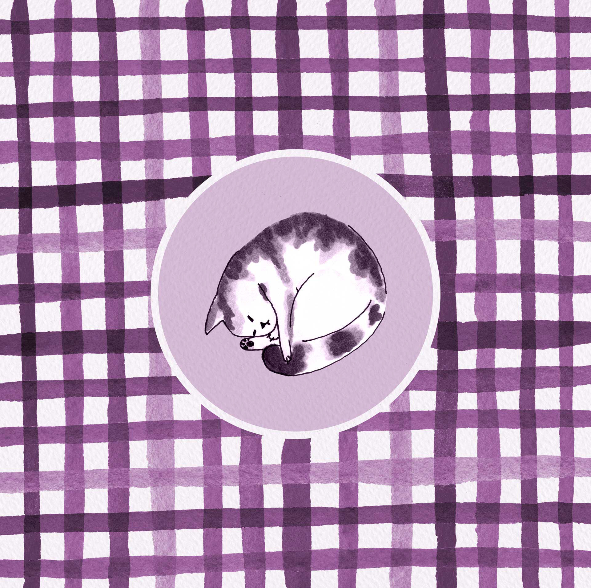 Plaid cat in purple palette