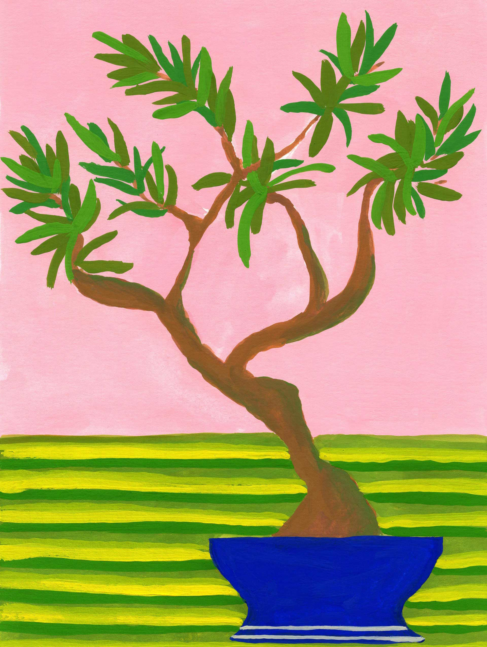 Potted plant VI