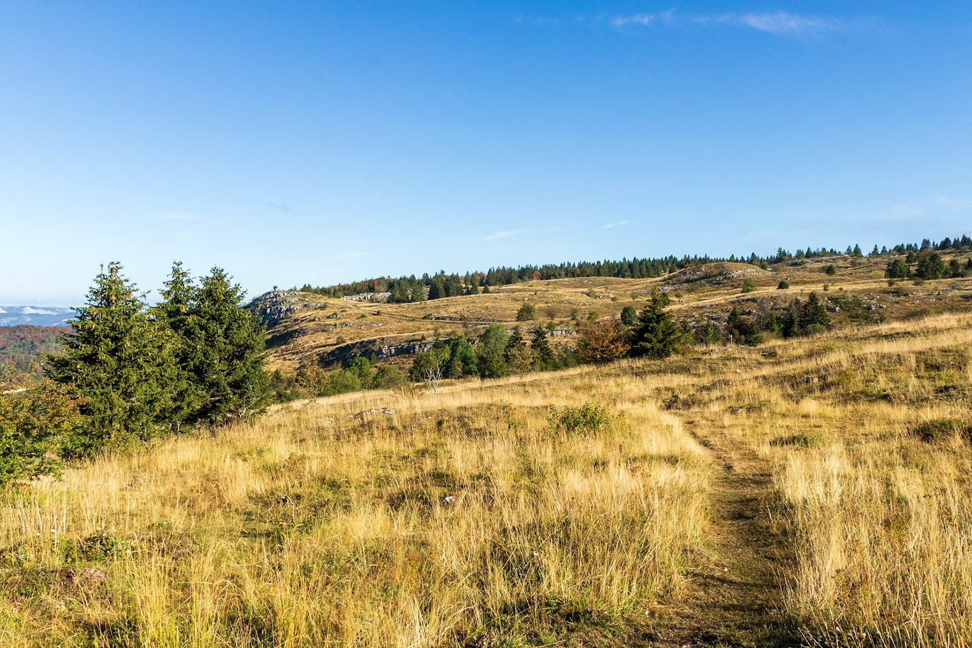 Parc Naturel Régional du Haut-Jura
