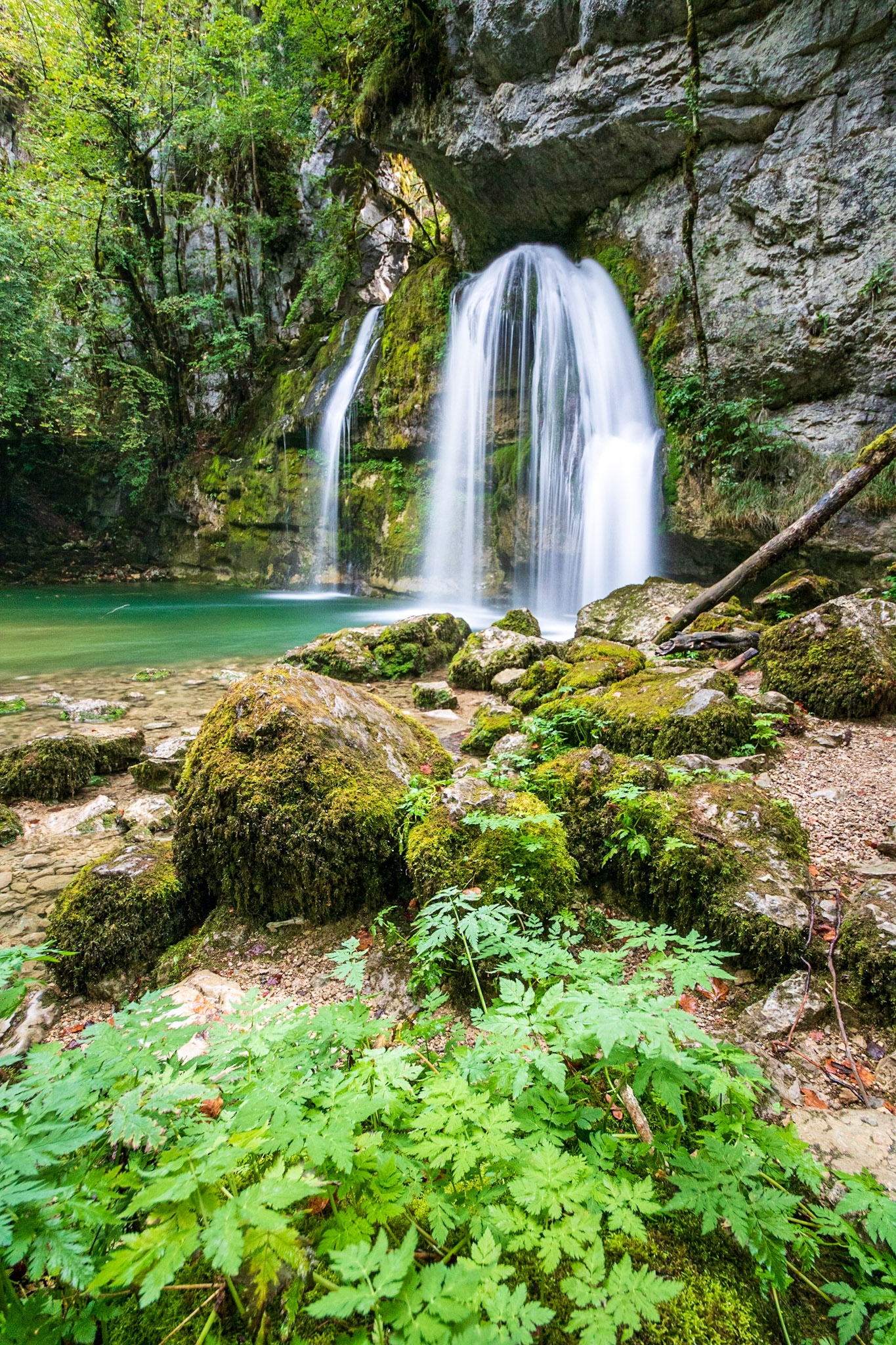 Parc Naturel Régional du Haut-Jura