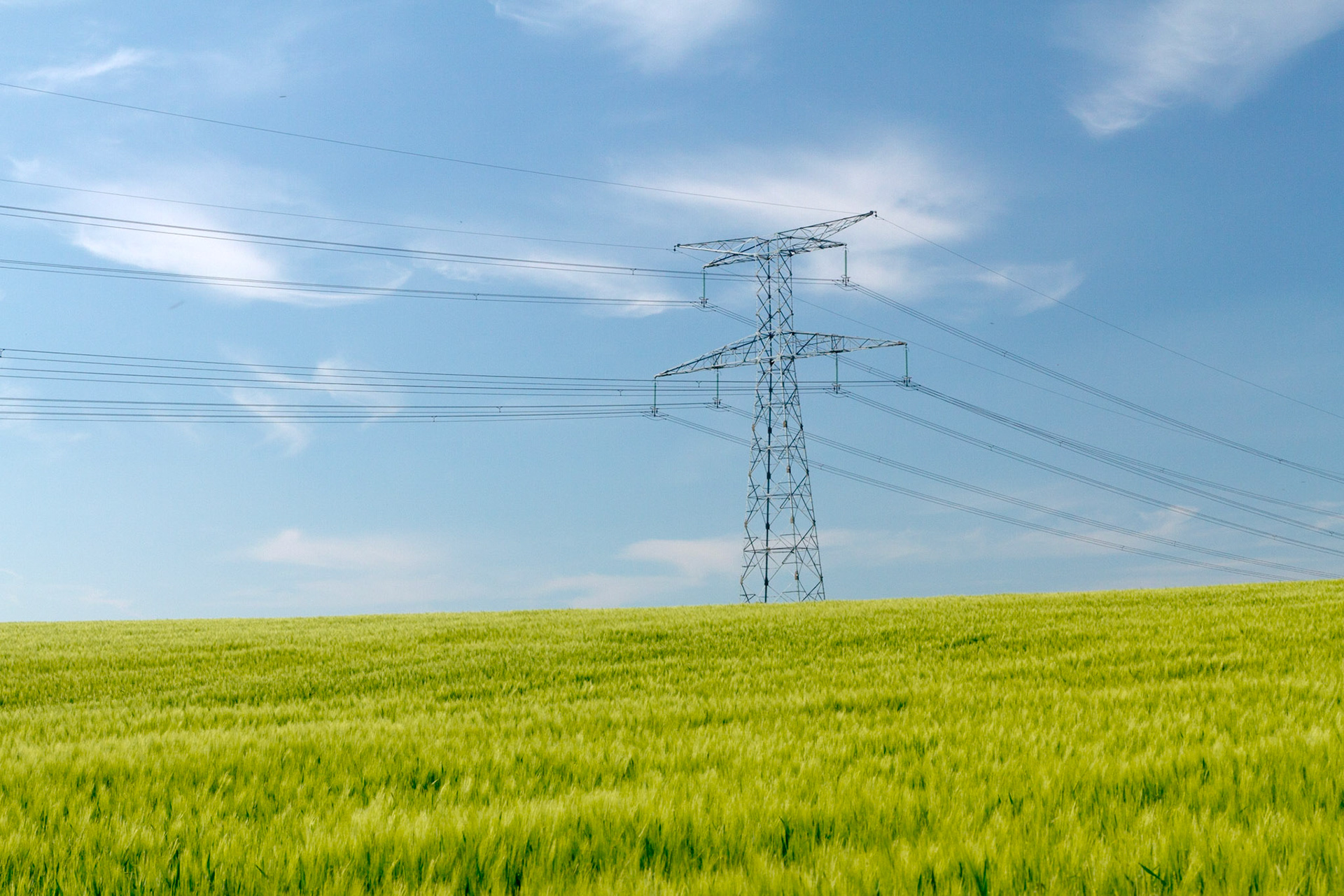 Pylône électrique dans un champ de blé vert sur fond de ciel bleu. Somme. Picardie.