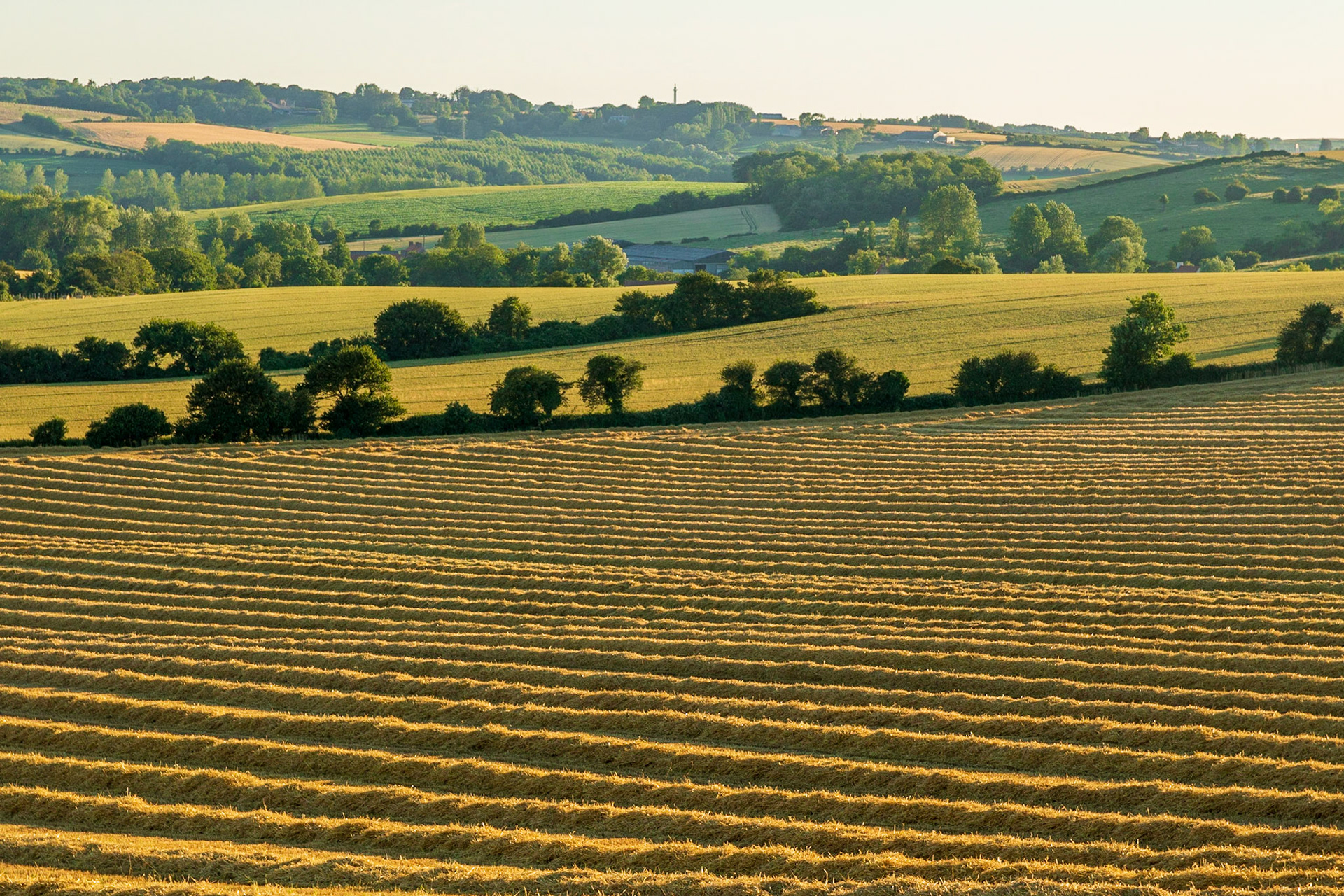 La campagne boulonnaise en fin de journée