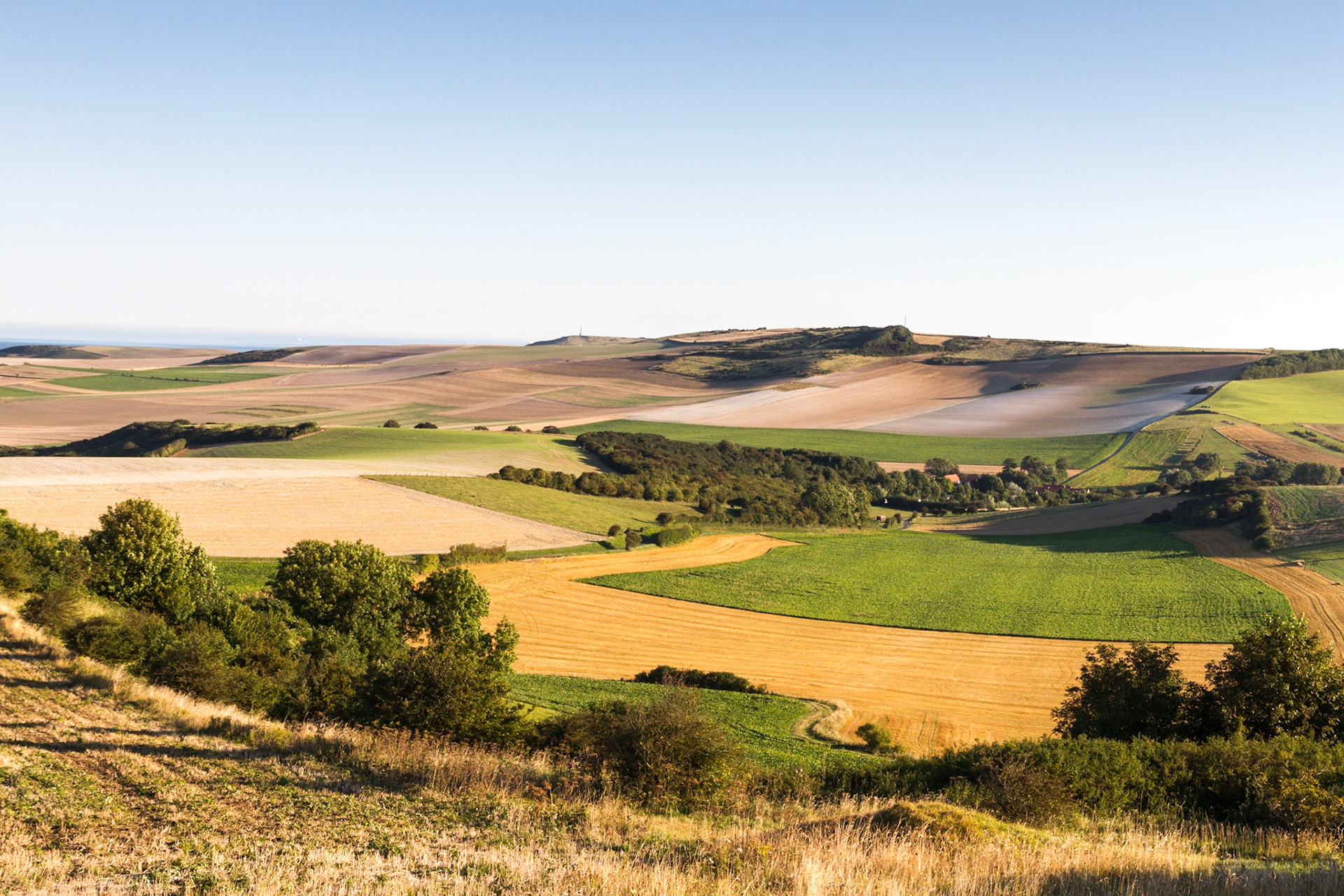 Campagne de la Côte d'Opale vers Wissant