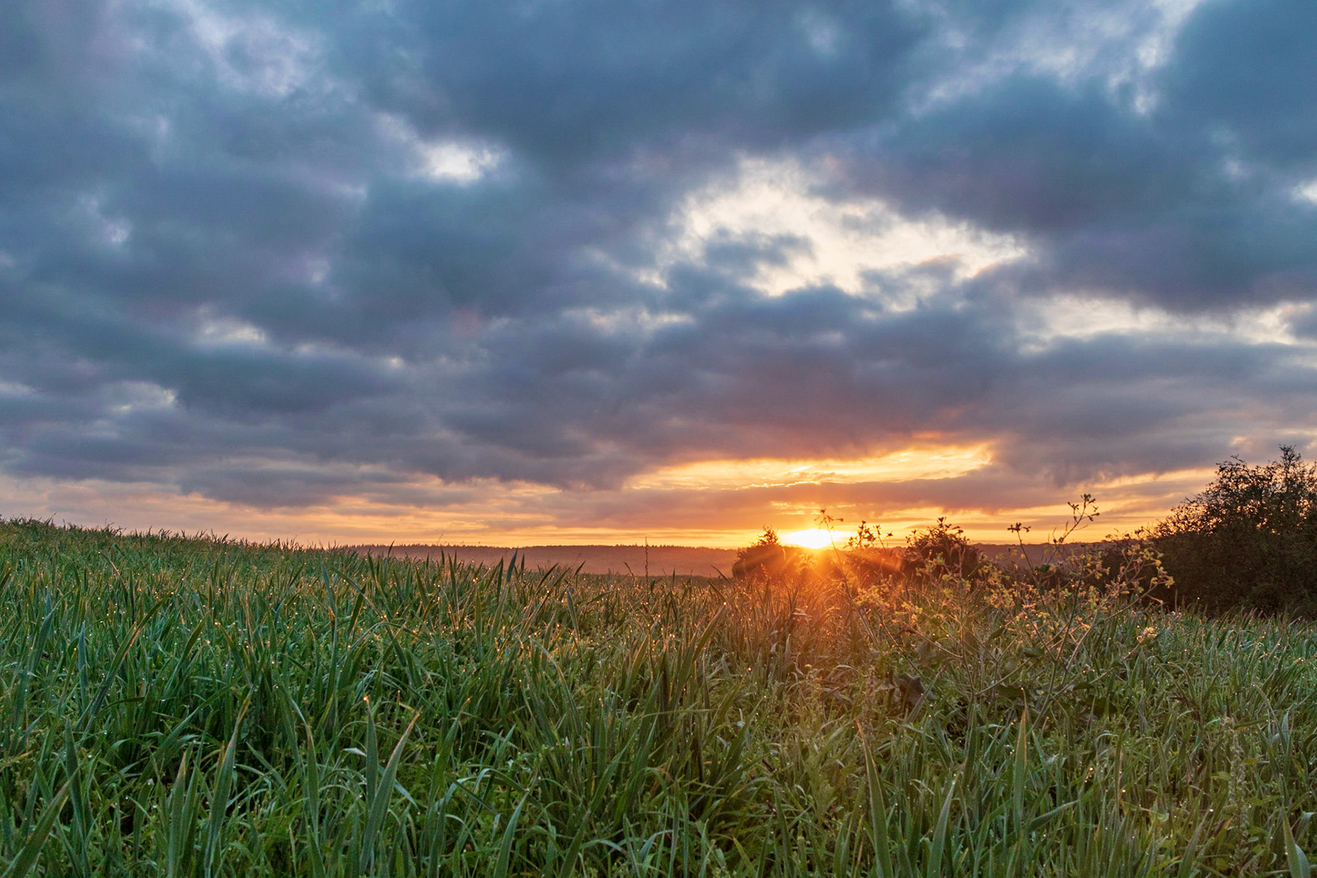 Lever de soleil sur la campagne boulonnaise