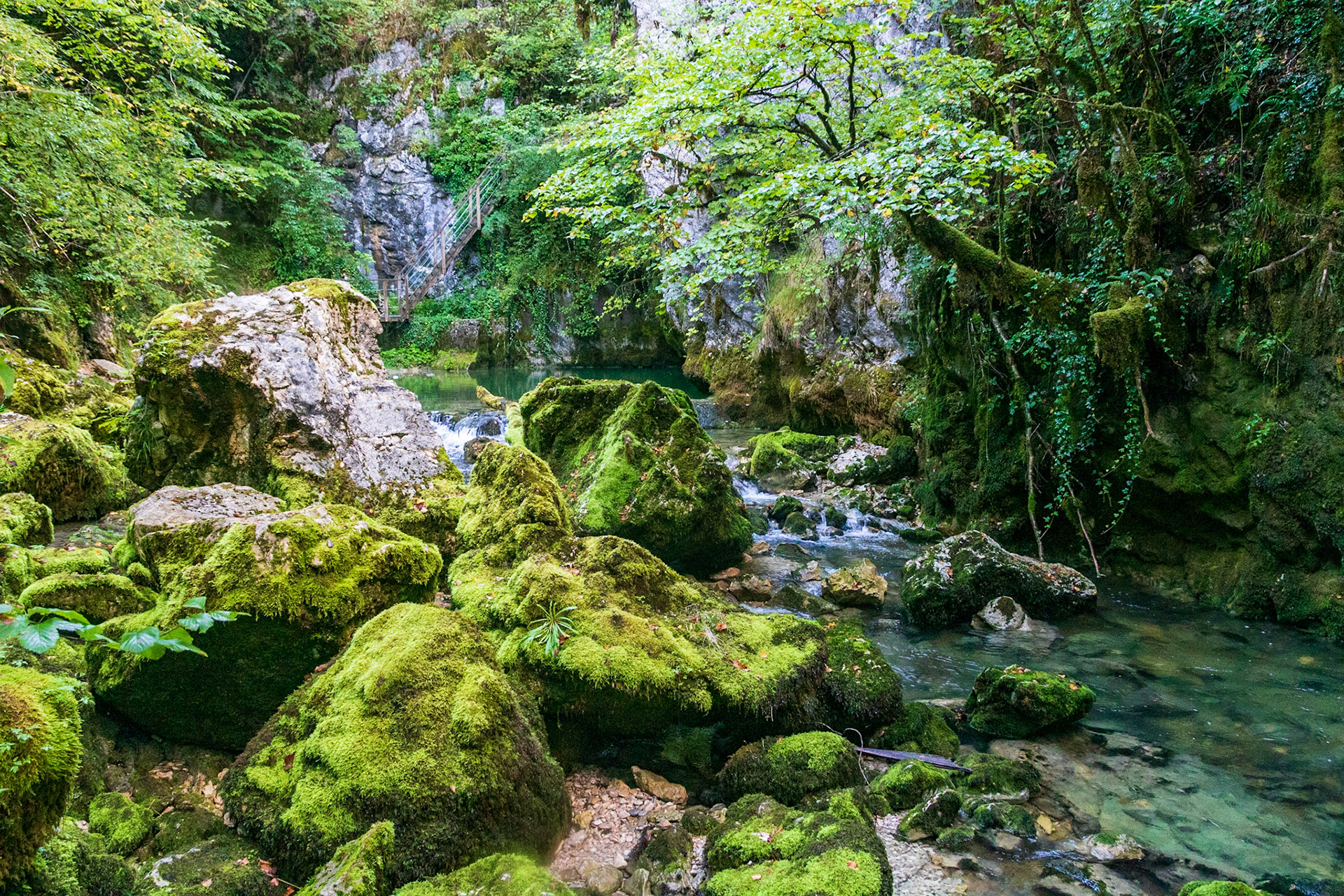 Les Gorges de l'Âbime