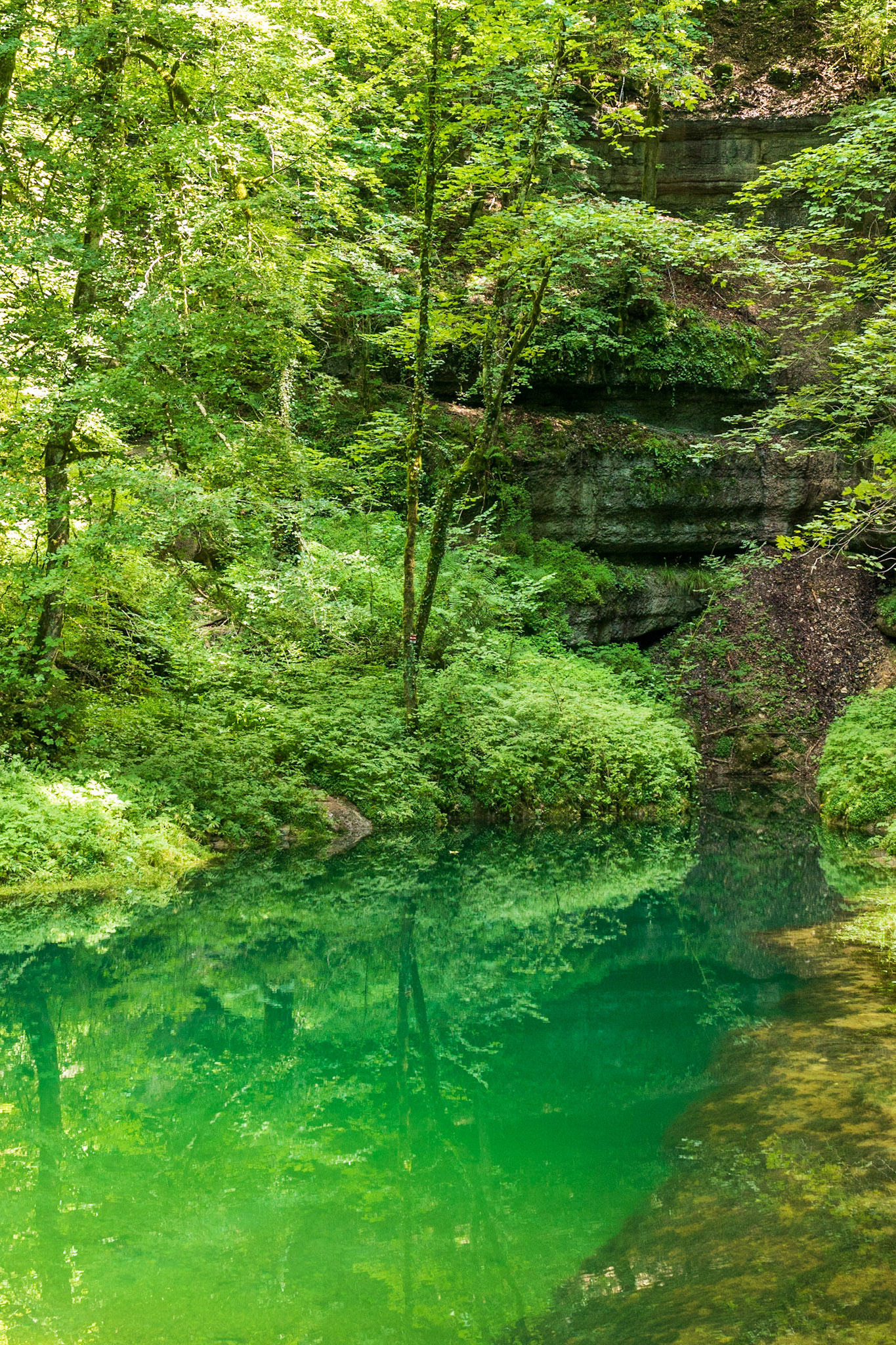 Source de l'Ain (exsurgence) à Nozeroy (Jura)
