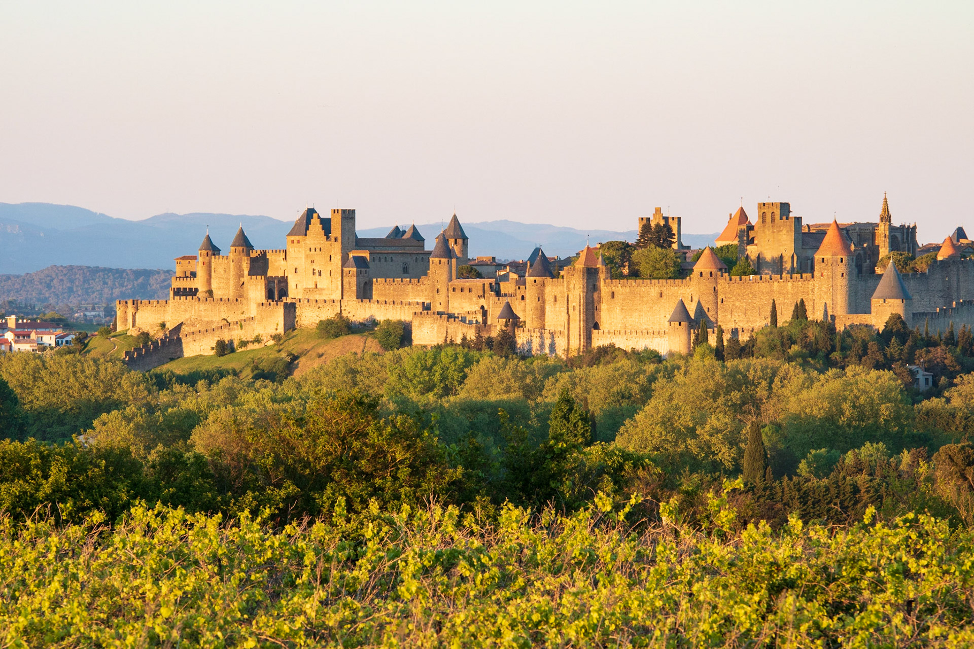 La Cité de Carcassonne au couchant
