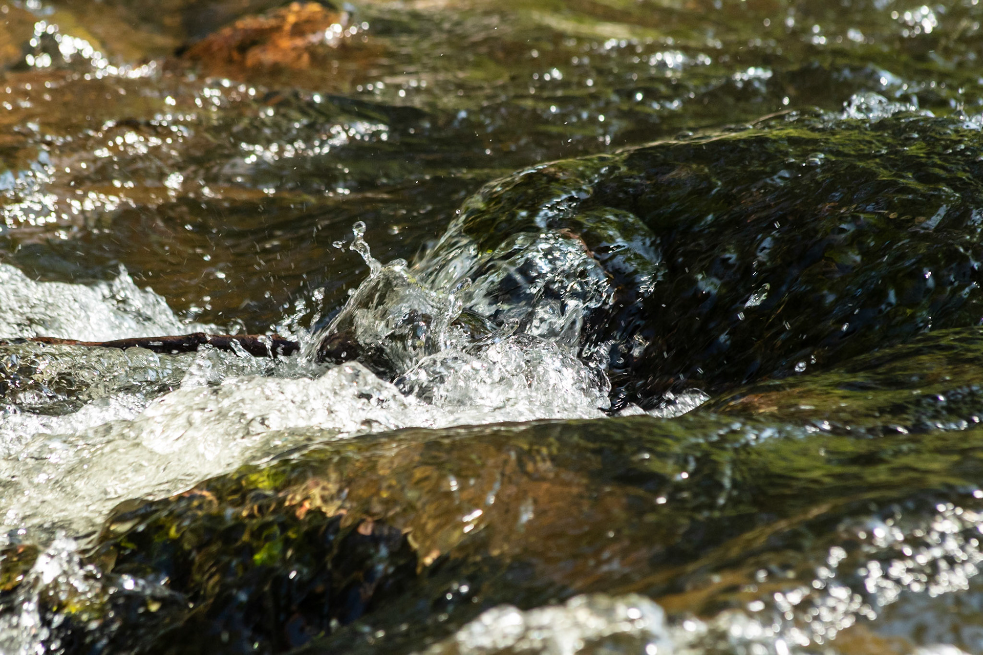L'eau de l'Allier