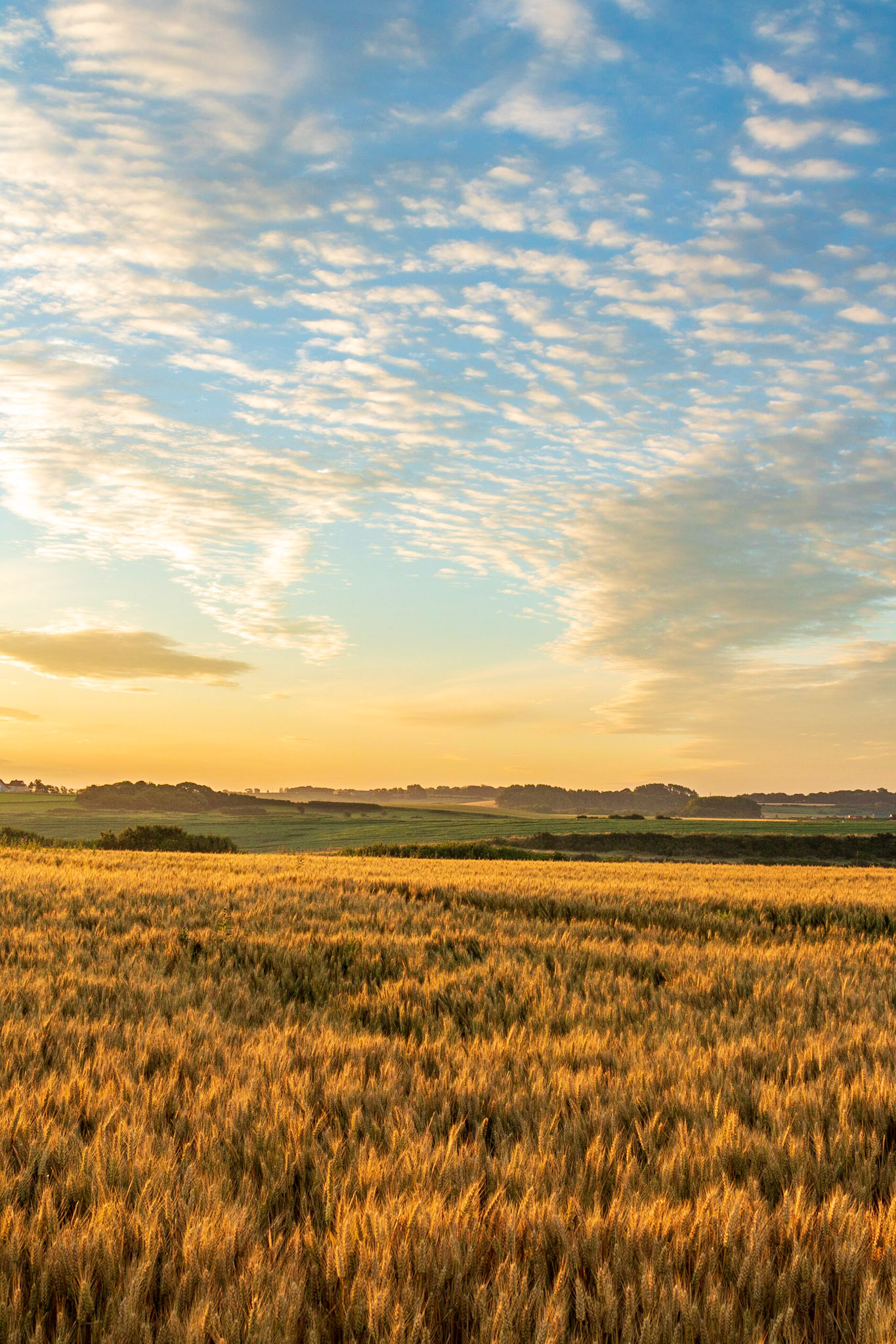 Aube sur la campagne boulonnaise