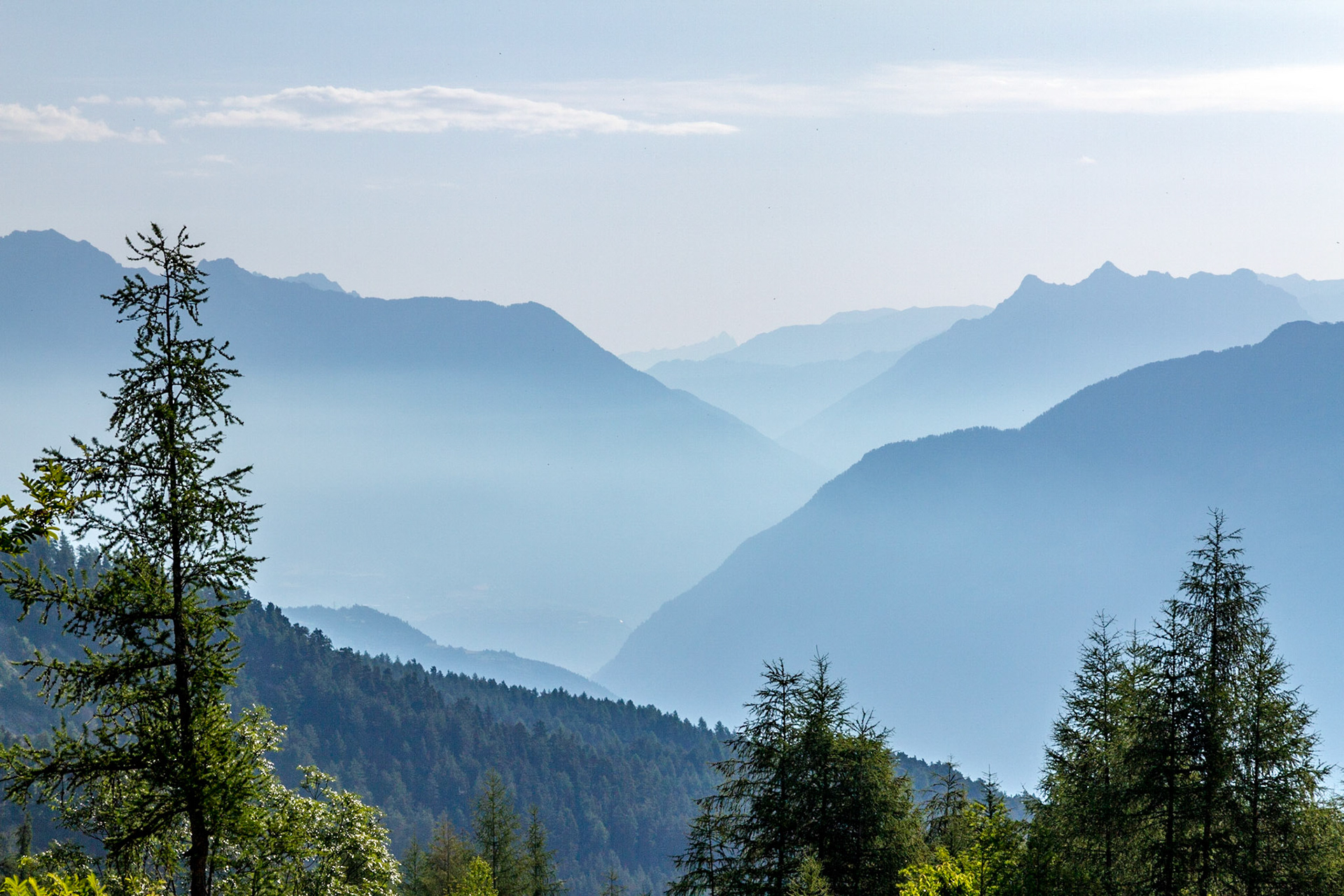 Sommets sous la brume