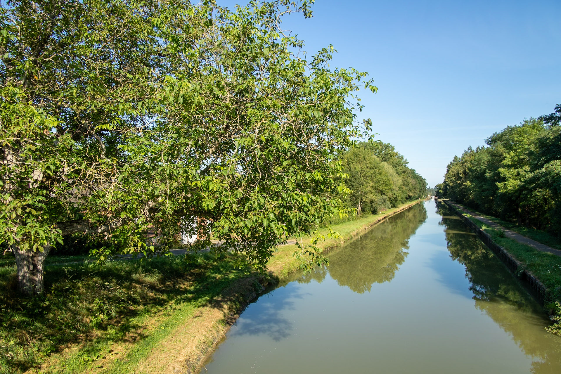 Canal Latéral à la Loire à Gimouille