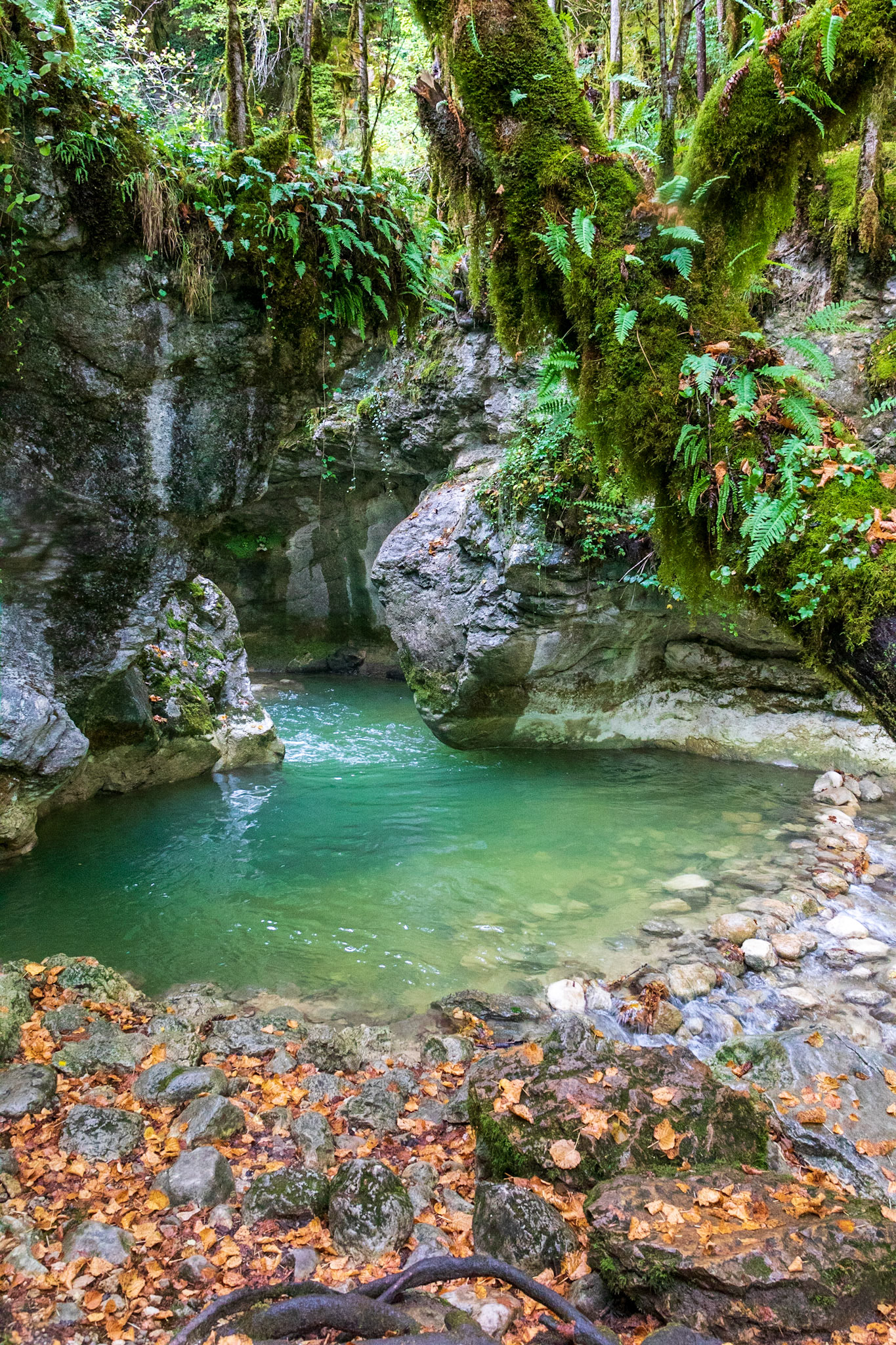Au-dessus de la Cascade de Vulvoz