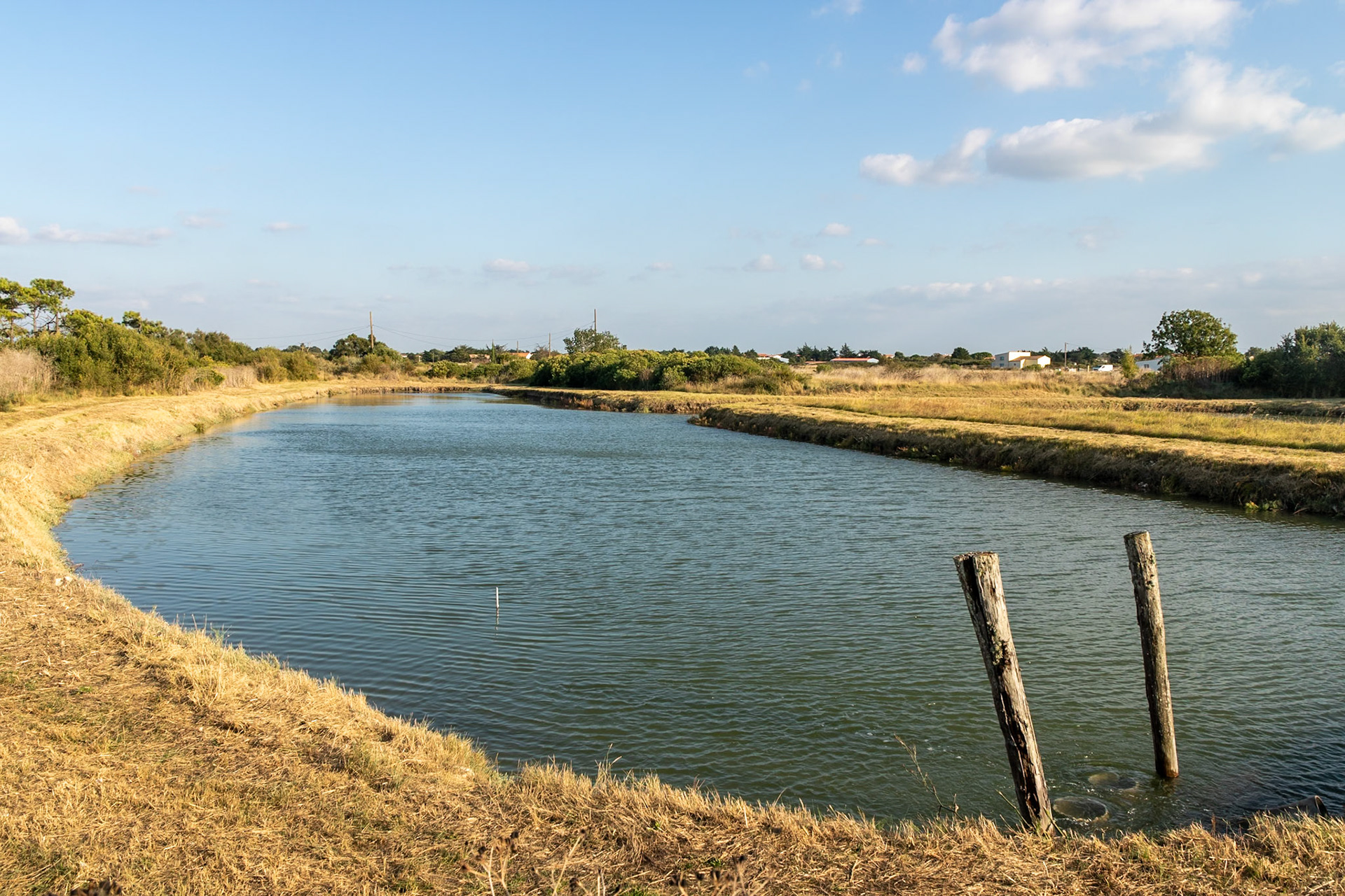 Un basin ostréicole du Marais Neuf à Angoulins