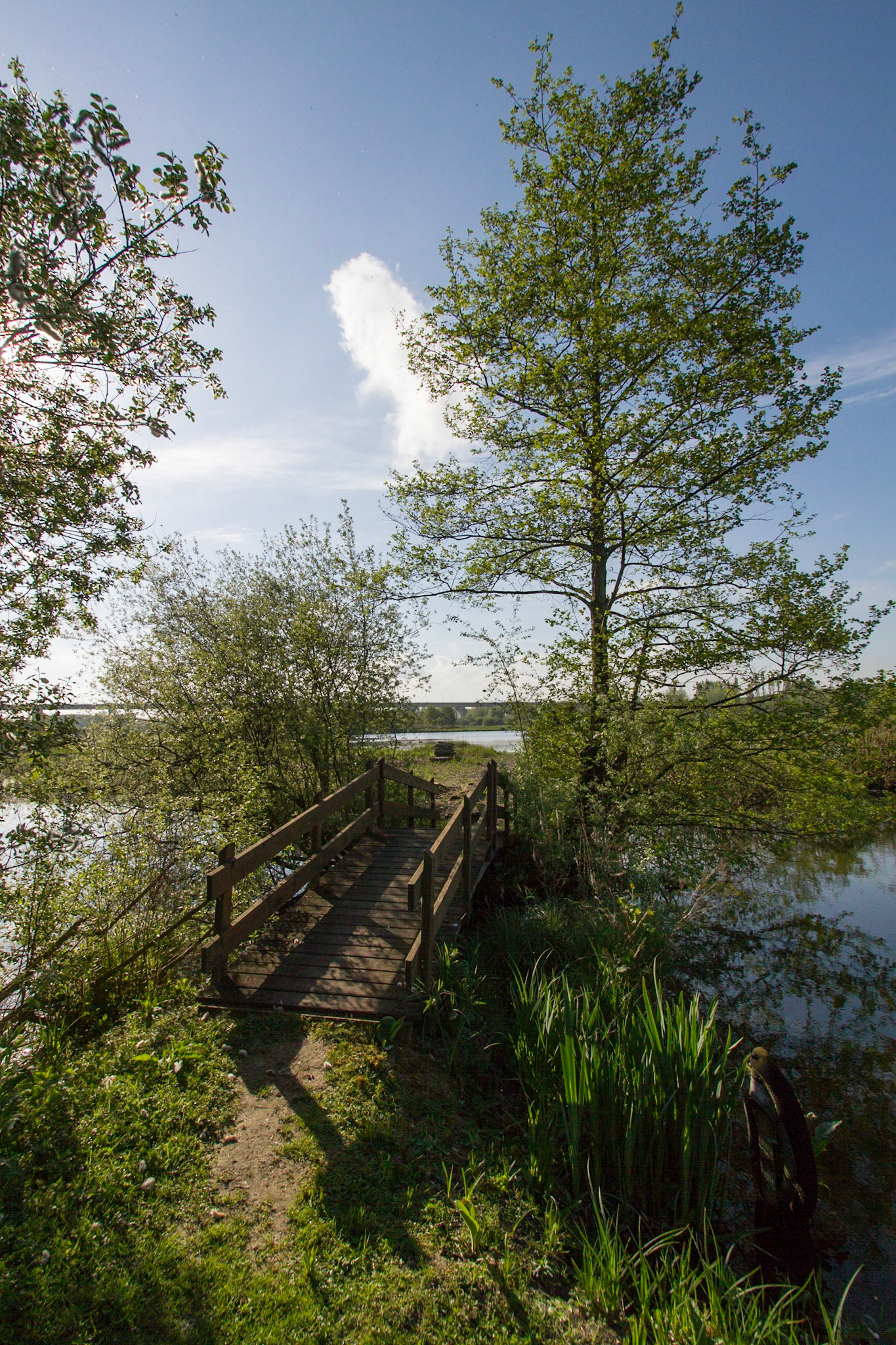 Le petit pont de bois. Lamotte-Brebière. Somme. Picardie.