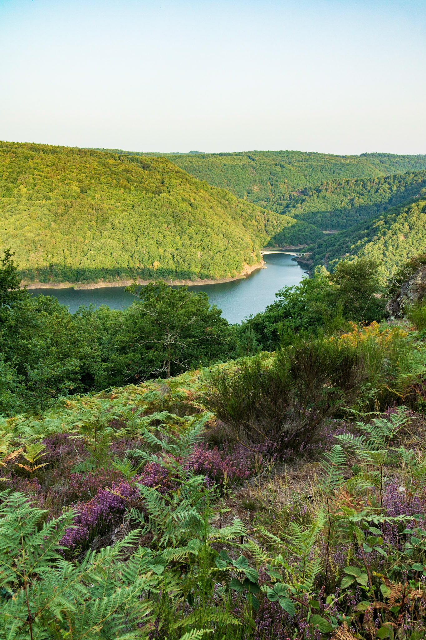 La Dordogne à l'aube