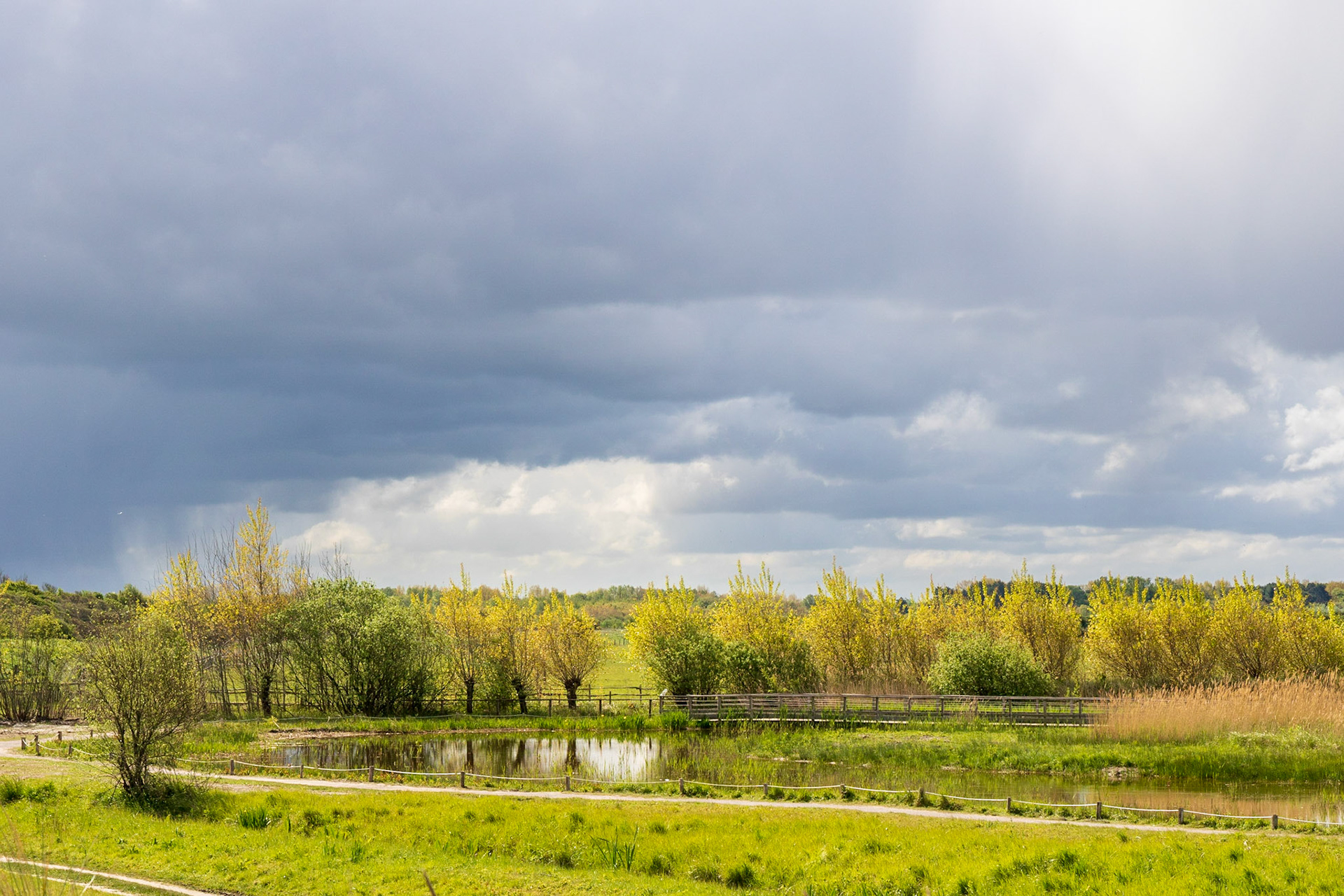 Parc ornithologique du Marquenterre