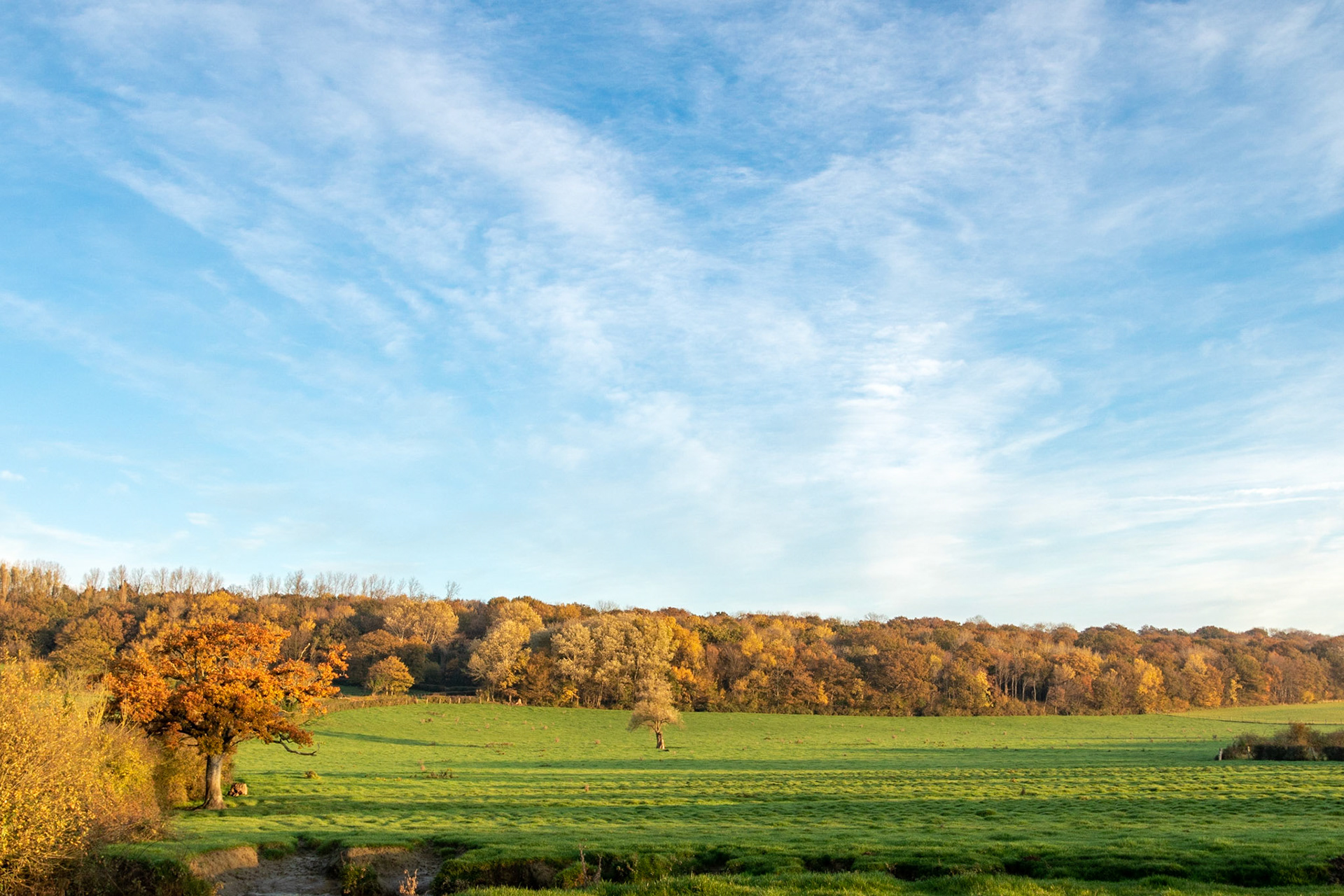 Premiers rayons de soleil sur un paysage d'automne