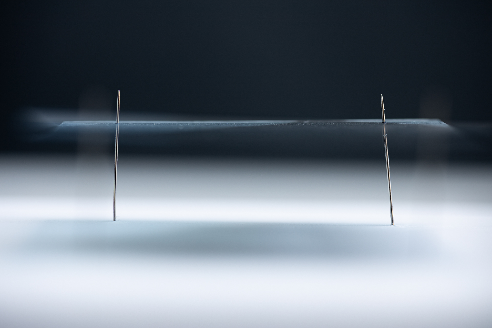 Bevegelse // Movement