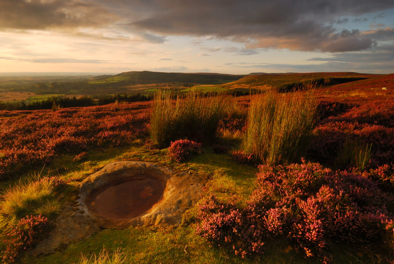 Kildale Moor, North Yorkshire Moors