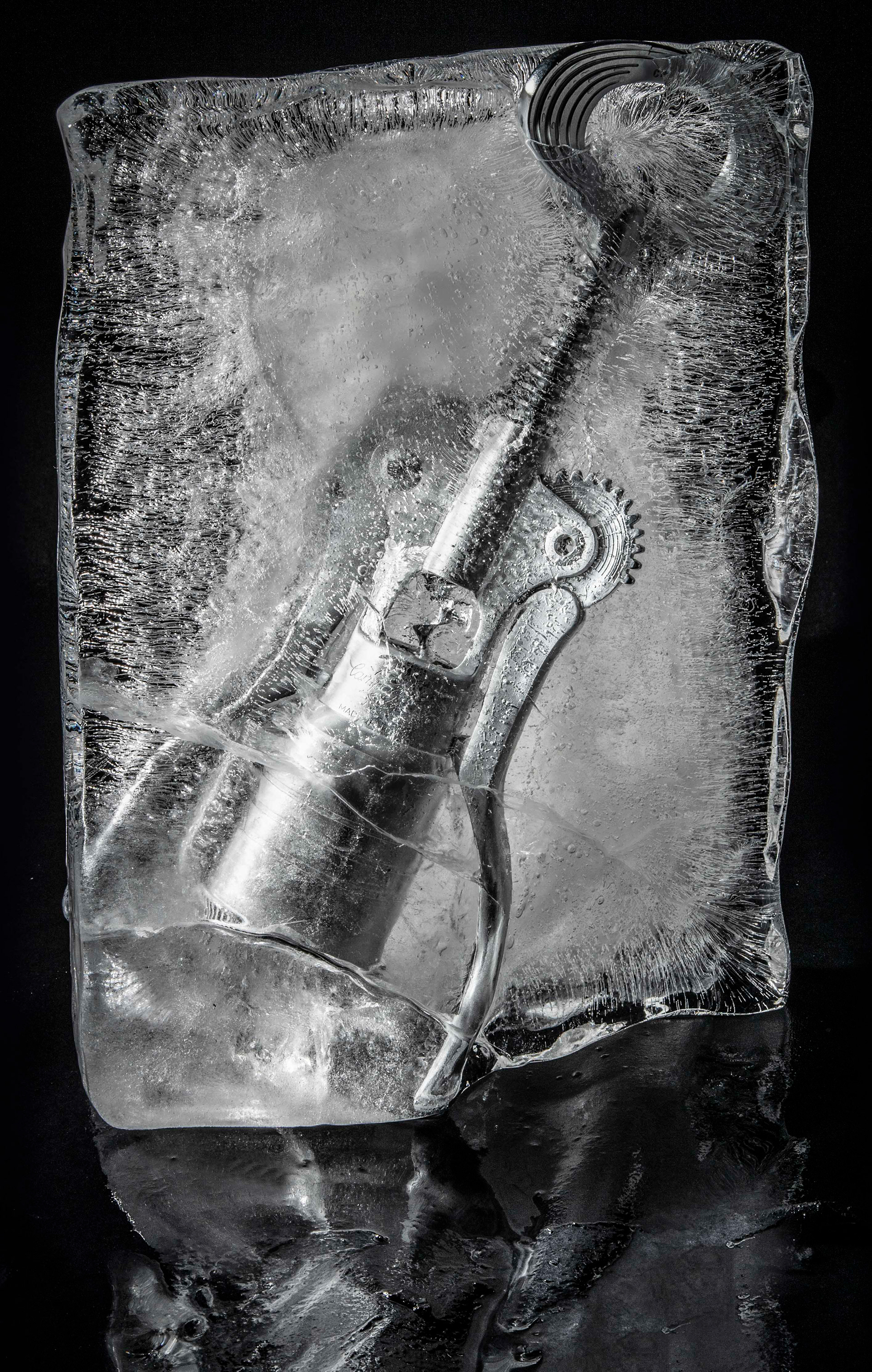 "il Campagnolo" ICE