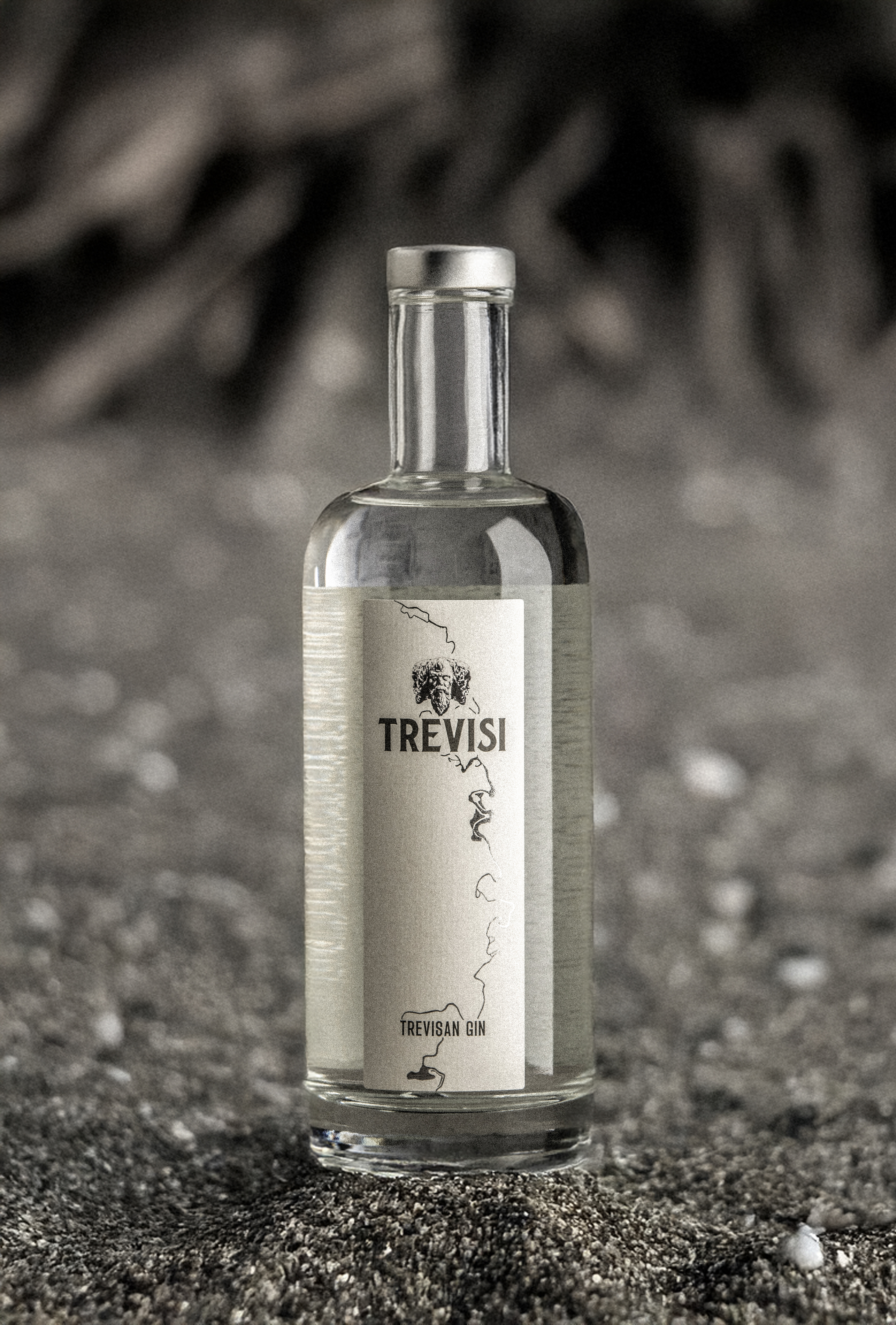 TREVISI GIN