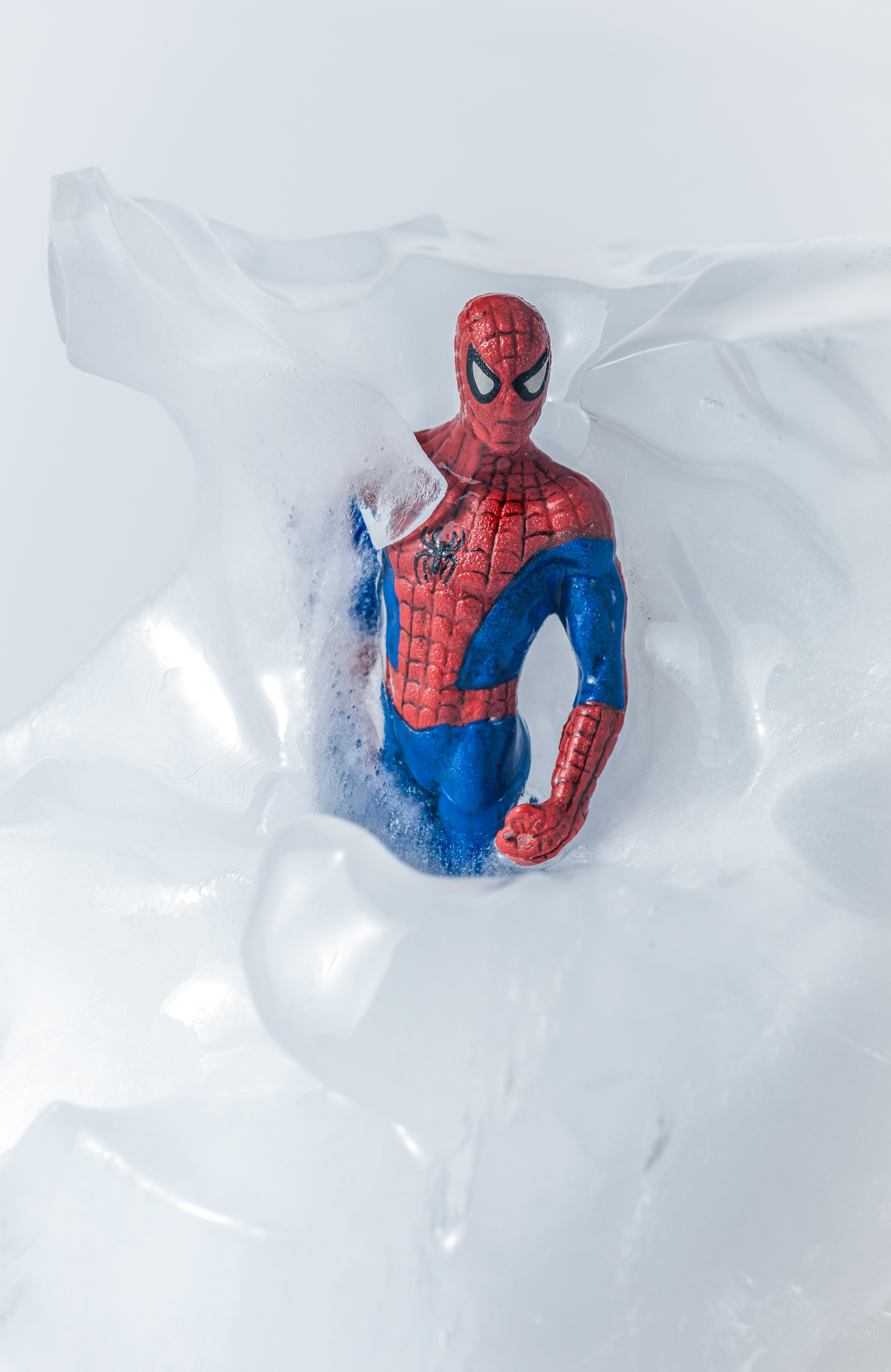 "spaiderICE"