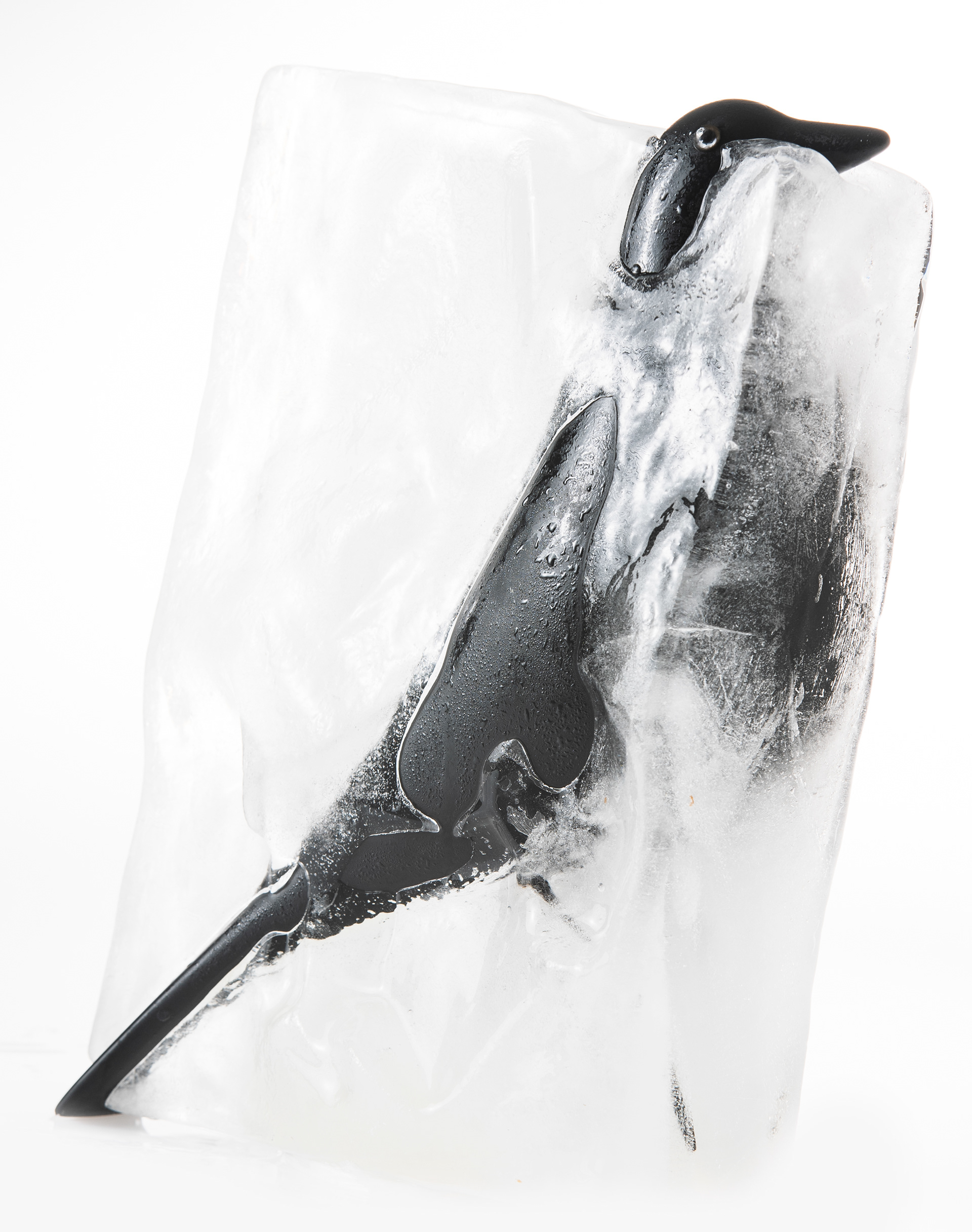 "ICEbird"