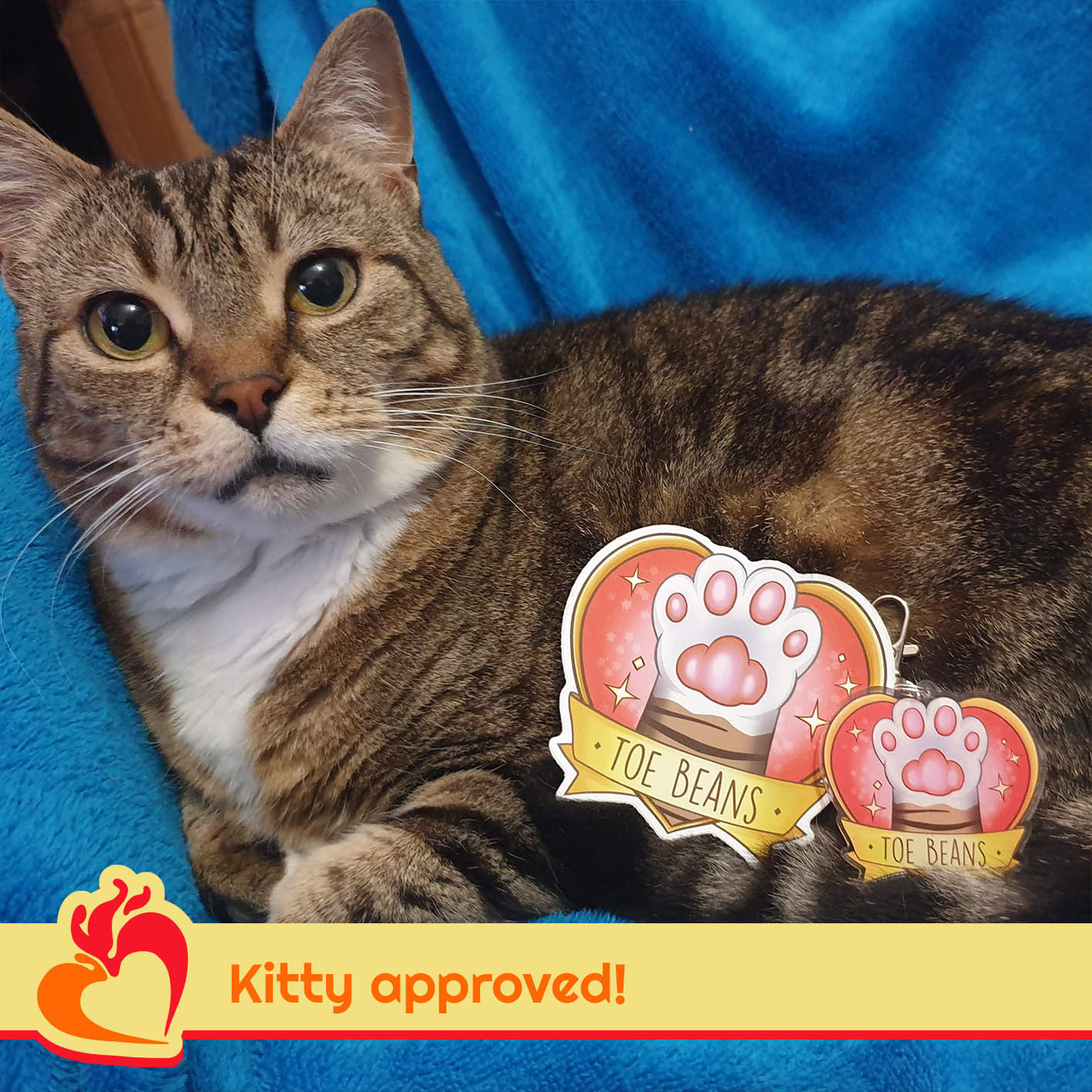Everything is cat approved!