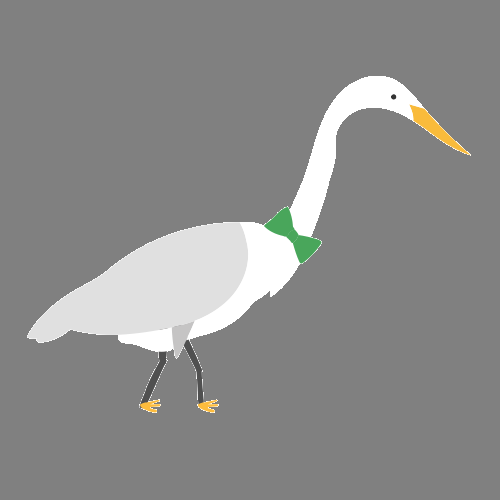 An egret walking on campus