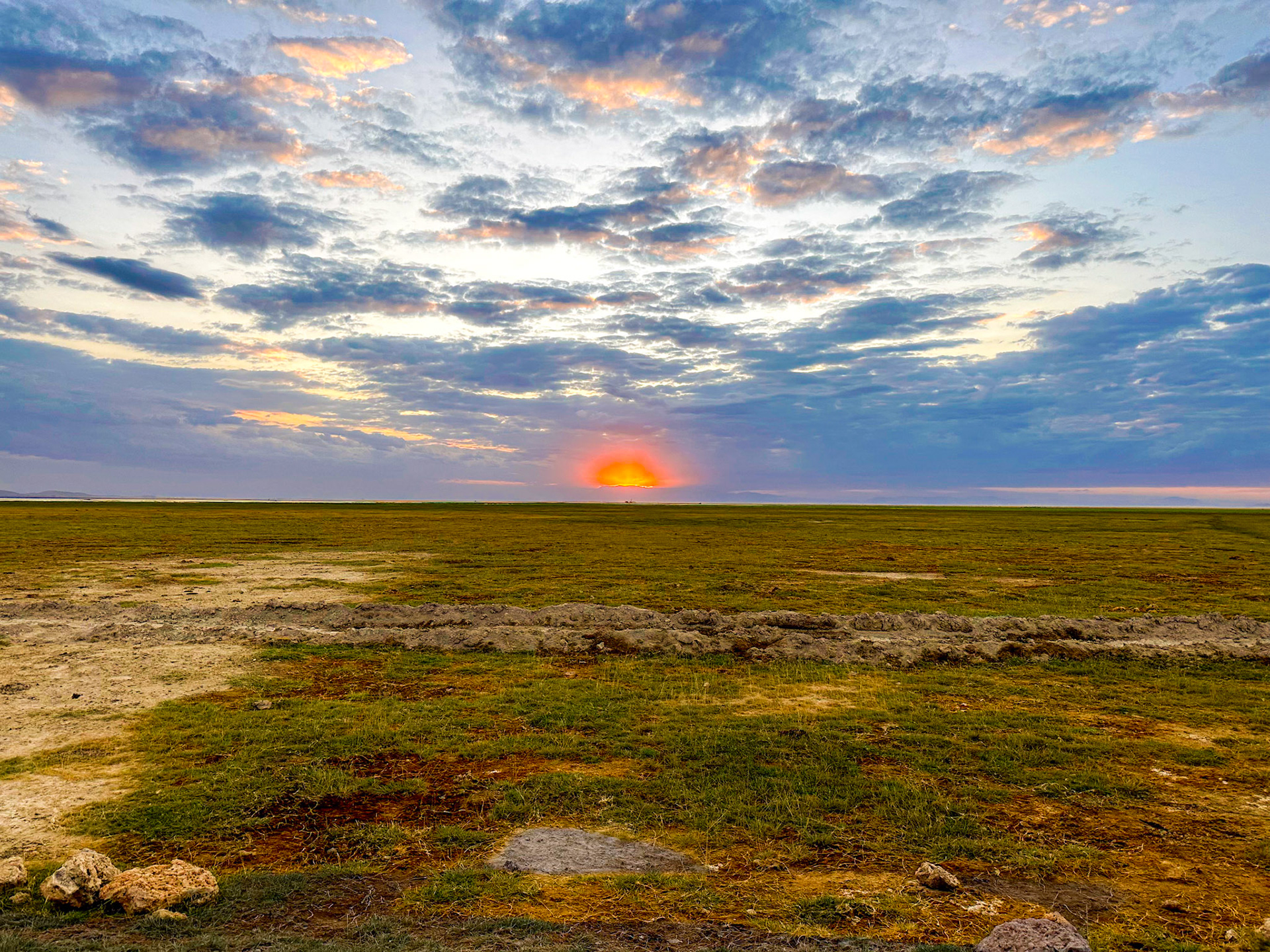 As the fiery red sun dips below the horizon, it casts a magical glow over the vast expanse of Amboseli's short green grasslands. The dramatic blue sky stretches out infinitely, creating a serene tableau of nature's timeless beauty.