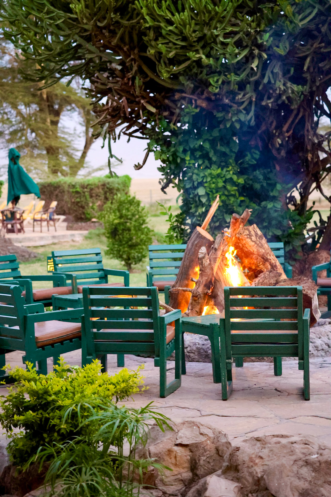 A roaring fire takes center stage at the lodge, surrounded by inviting chairs awaiting the evening's storytellers and listeners. The scene radiates warmth and anticipation for shared moments.