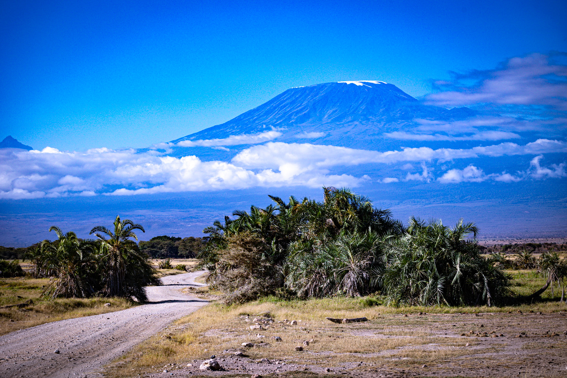 Kilimanjaro's Kingdom