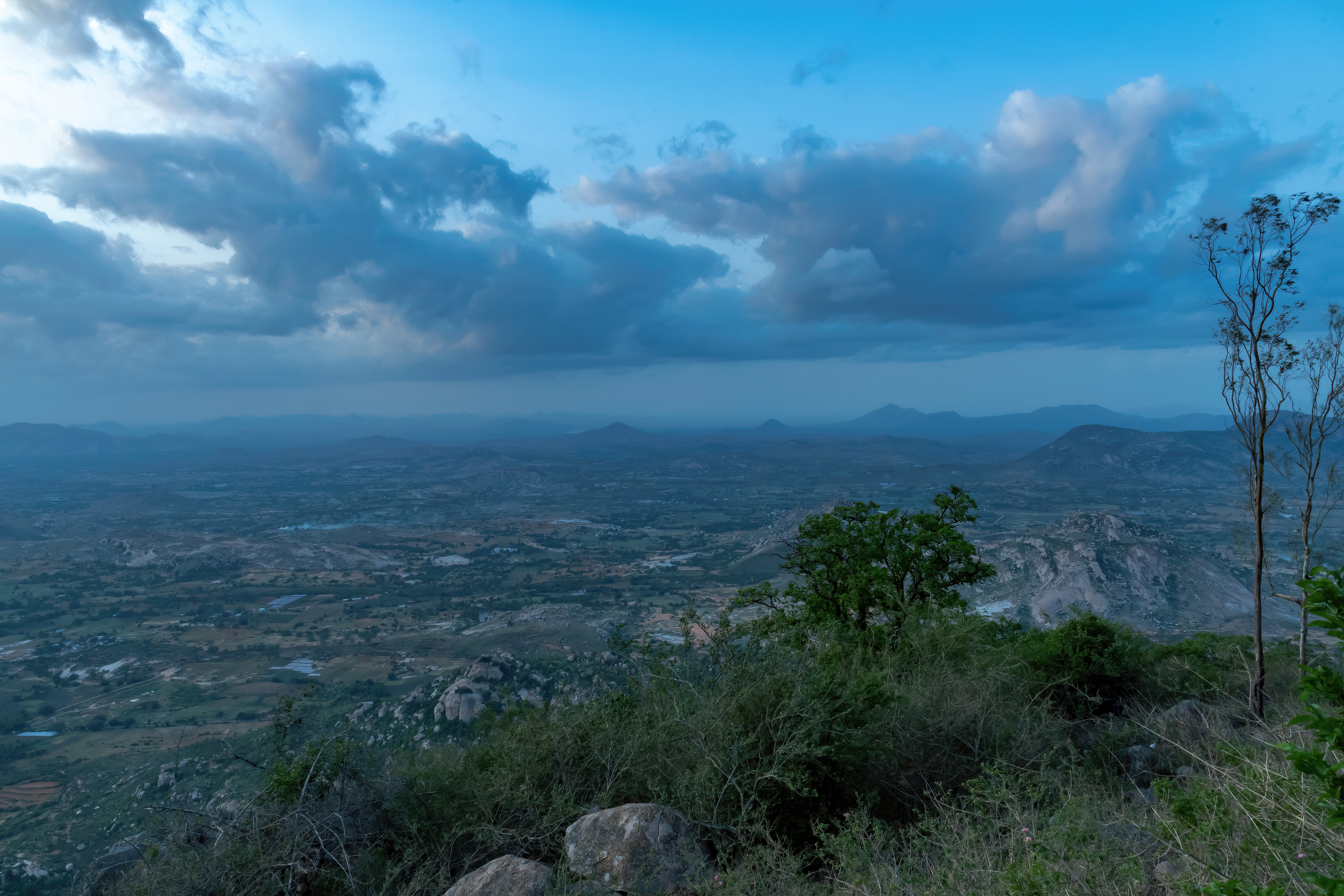 View from Horsley Hills