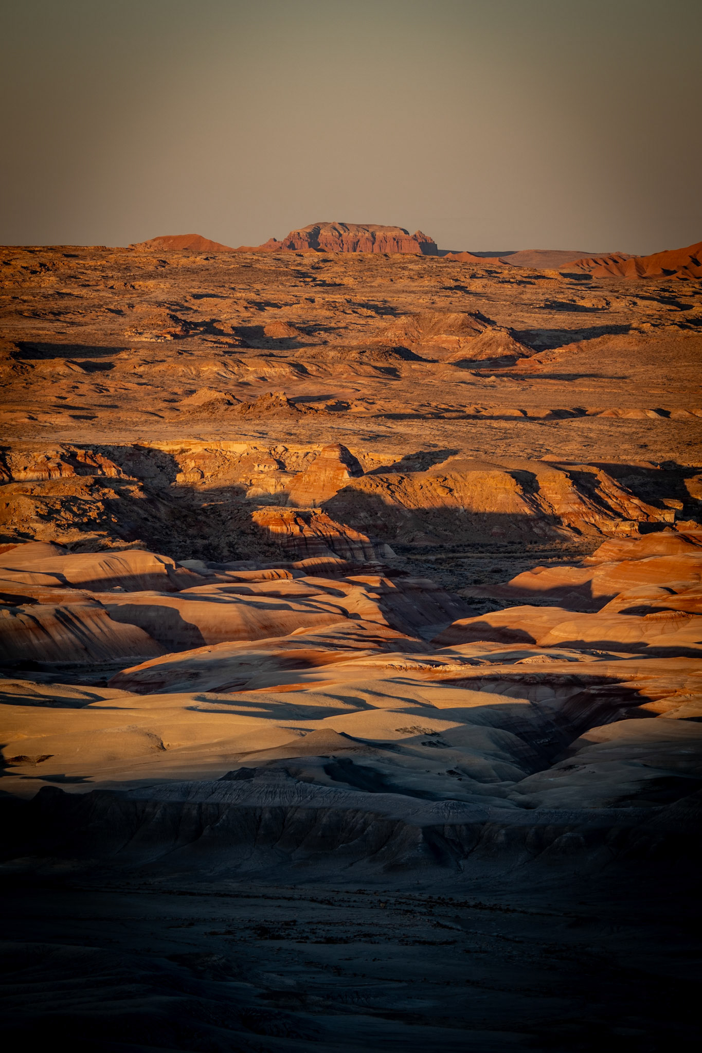 Sand Dunes – Golden Hour