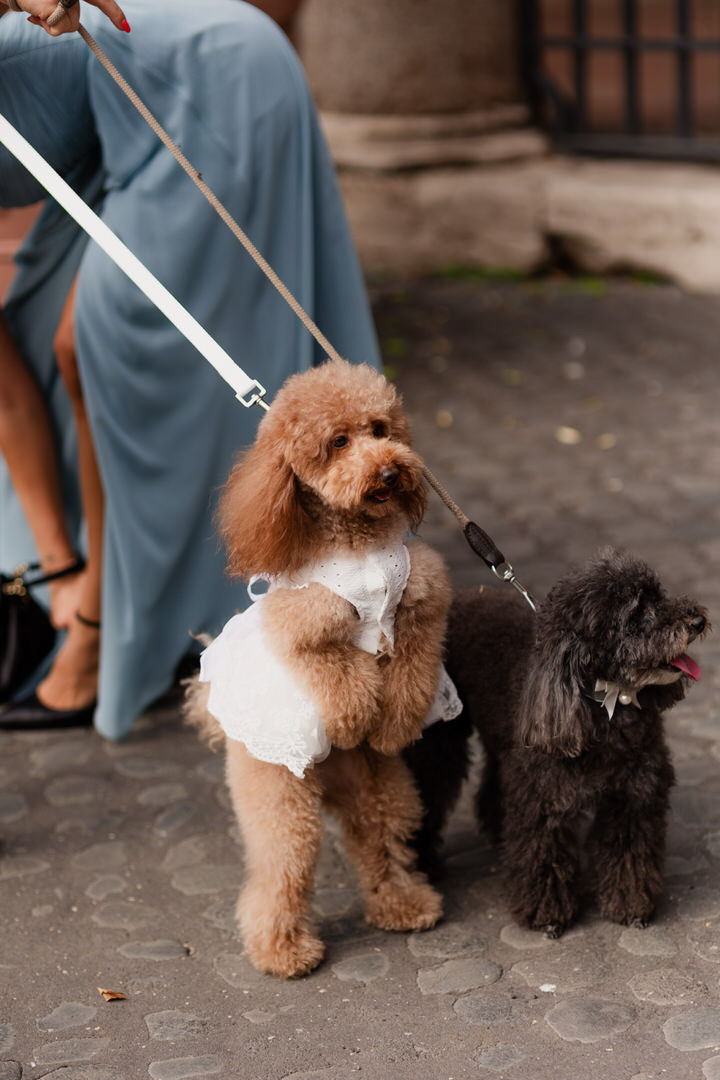 cerimonia-matrimonio-italia-reportage-spontaneo-matrimonioroma