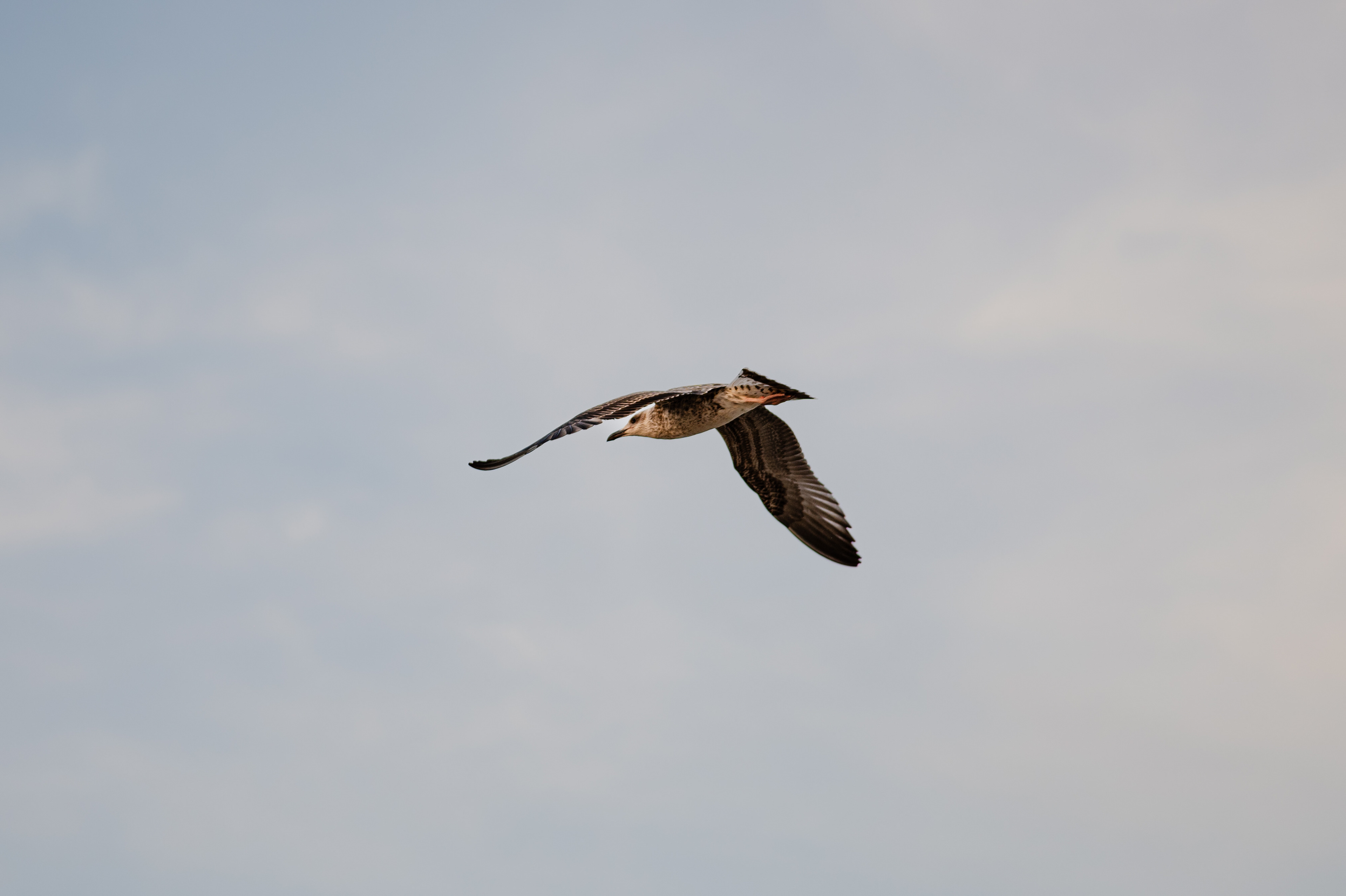 wedding photographer in Italia, Fotografia di matrimonio, reportage, location per ricevimenti