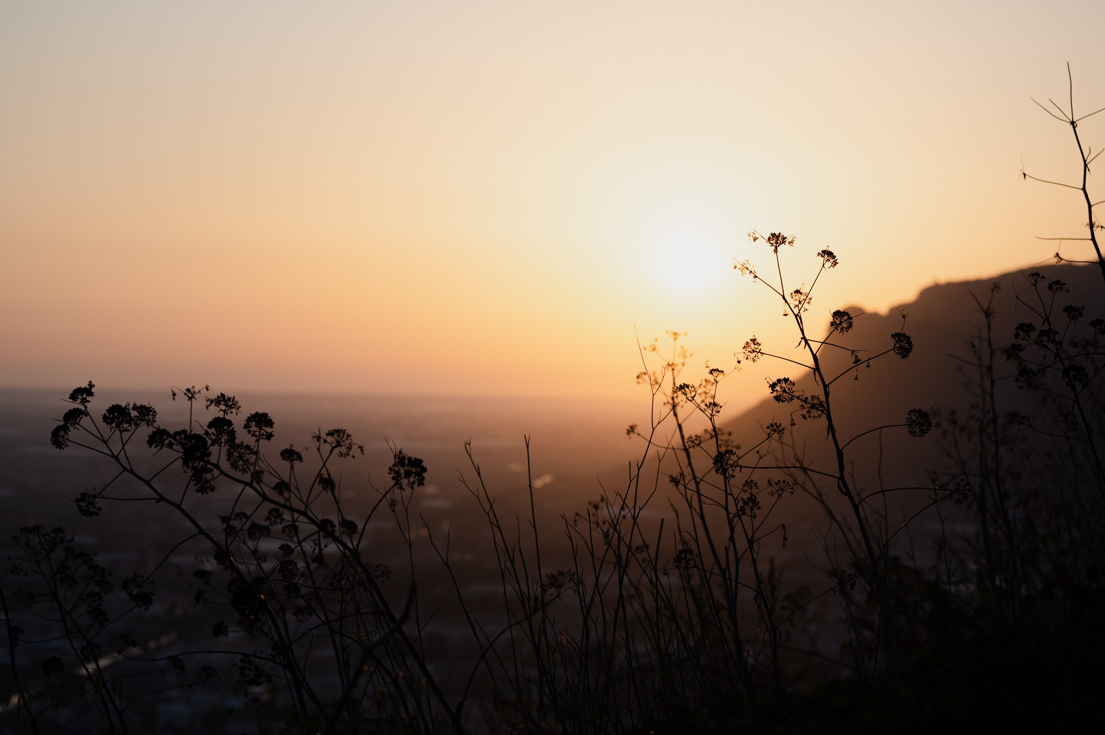 wedding photogwedding photographer in Italia, Fotografia di matrimonio, reportage, location per ricevimentirapher in Italia, Fotografia di matrimonio, reportage, location per ricevimenti