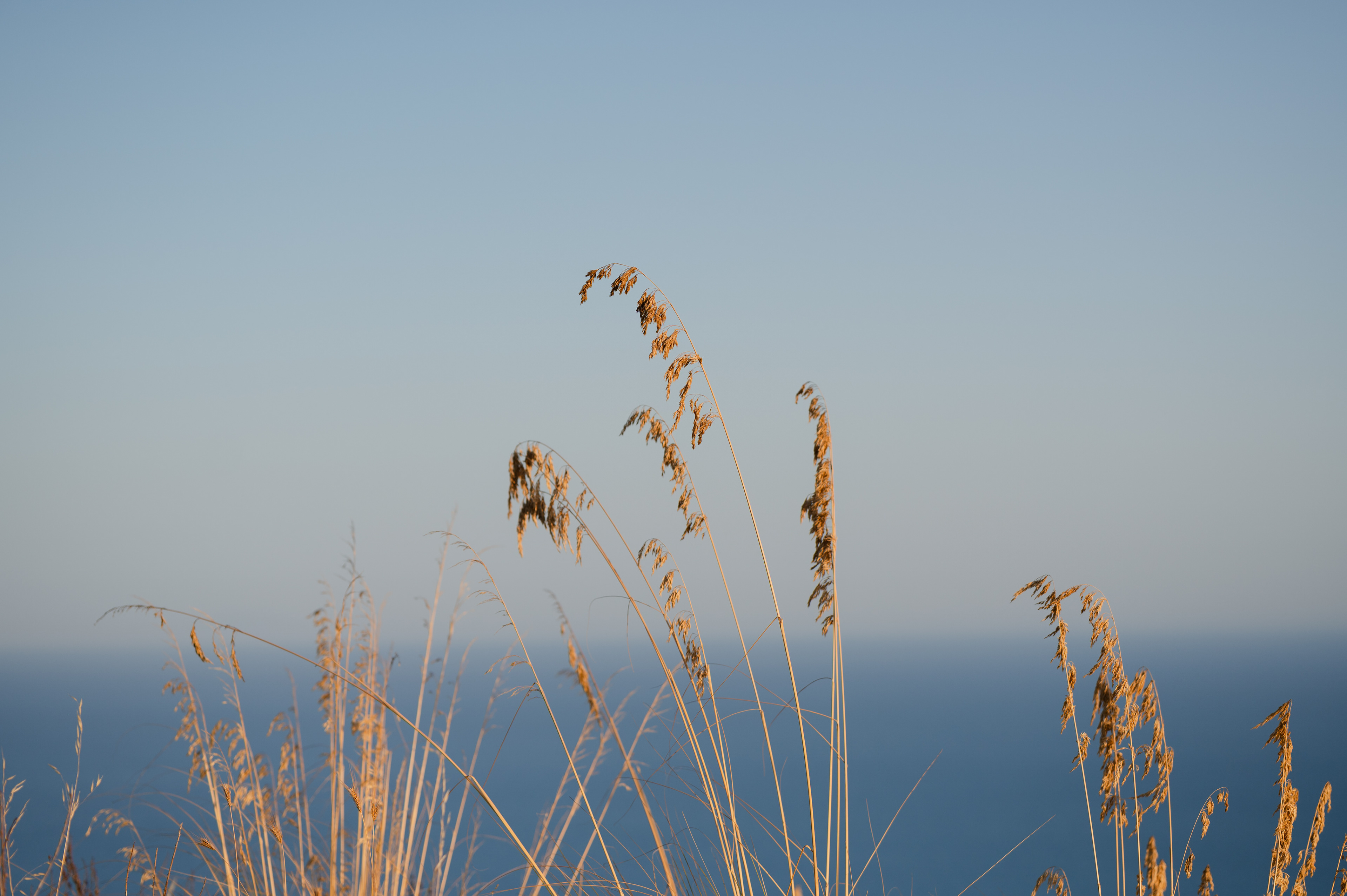 wedding photographer in Italia, Fotografia di matrimonio, reportage, location per ricevimenti