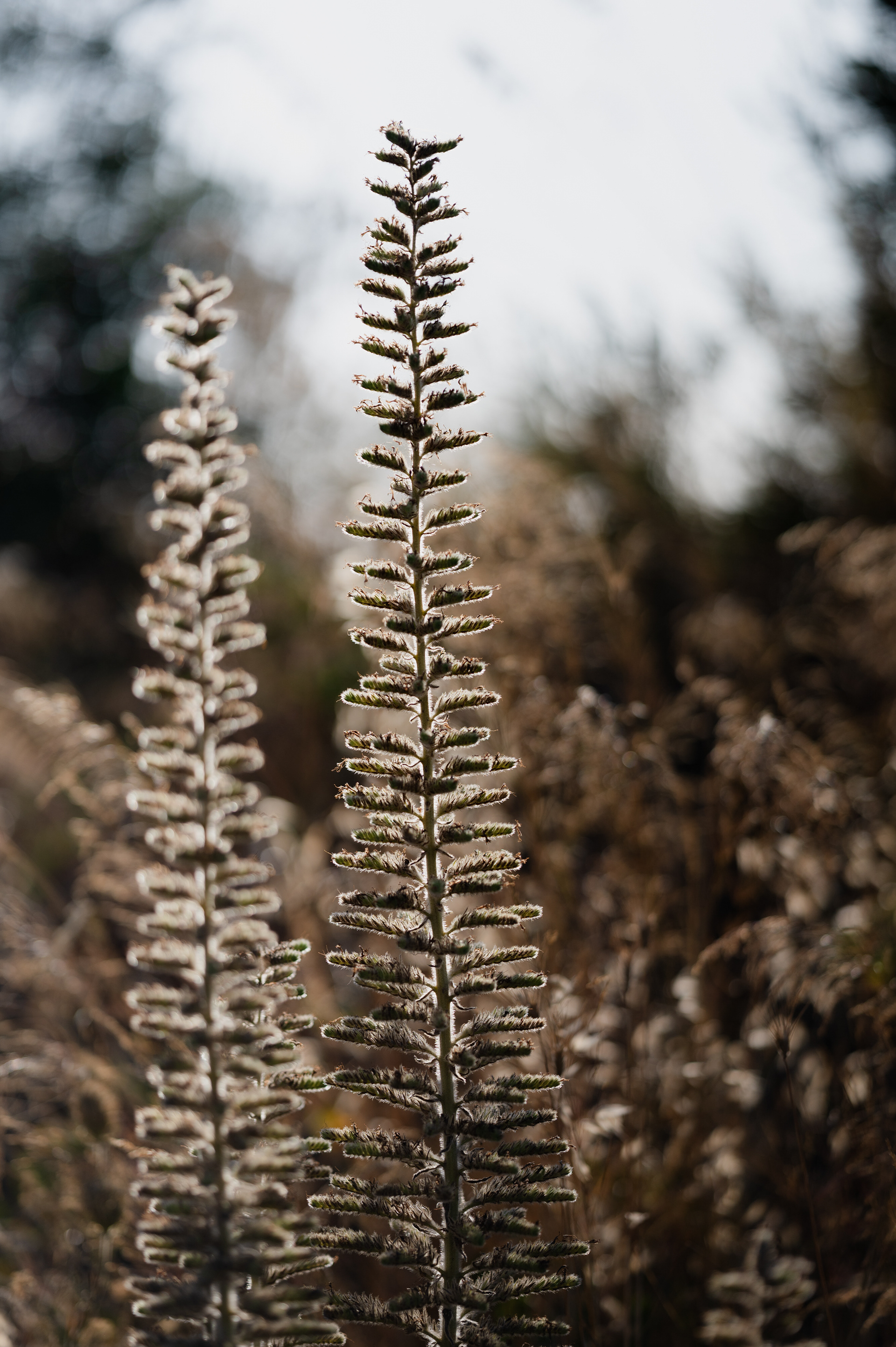 wedding photographer in Italia, Fotografia di matrimonio, reportage, location per ricevimenti
